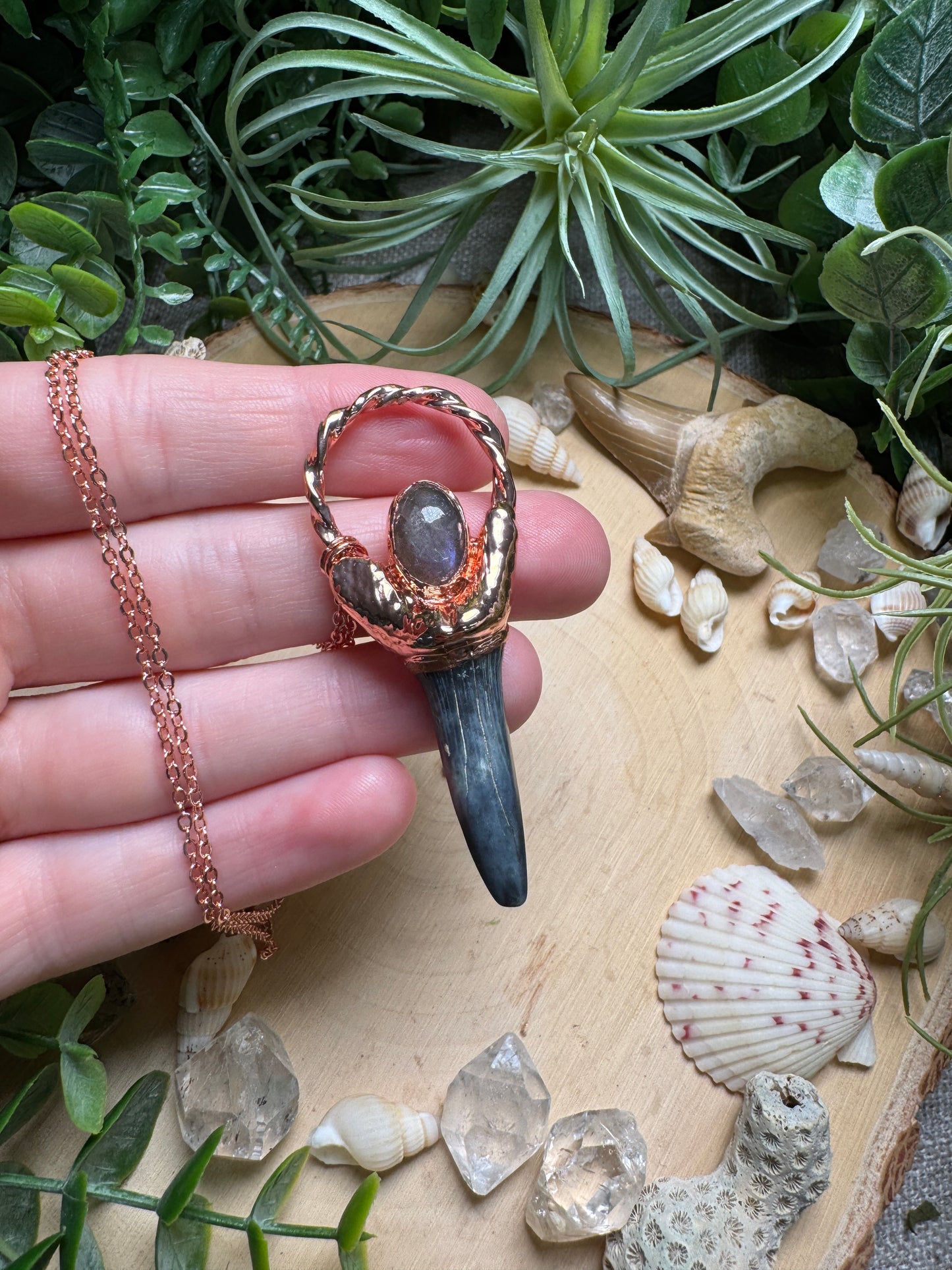 Labradorite and Shark's Tooth Necklace