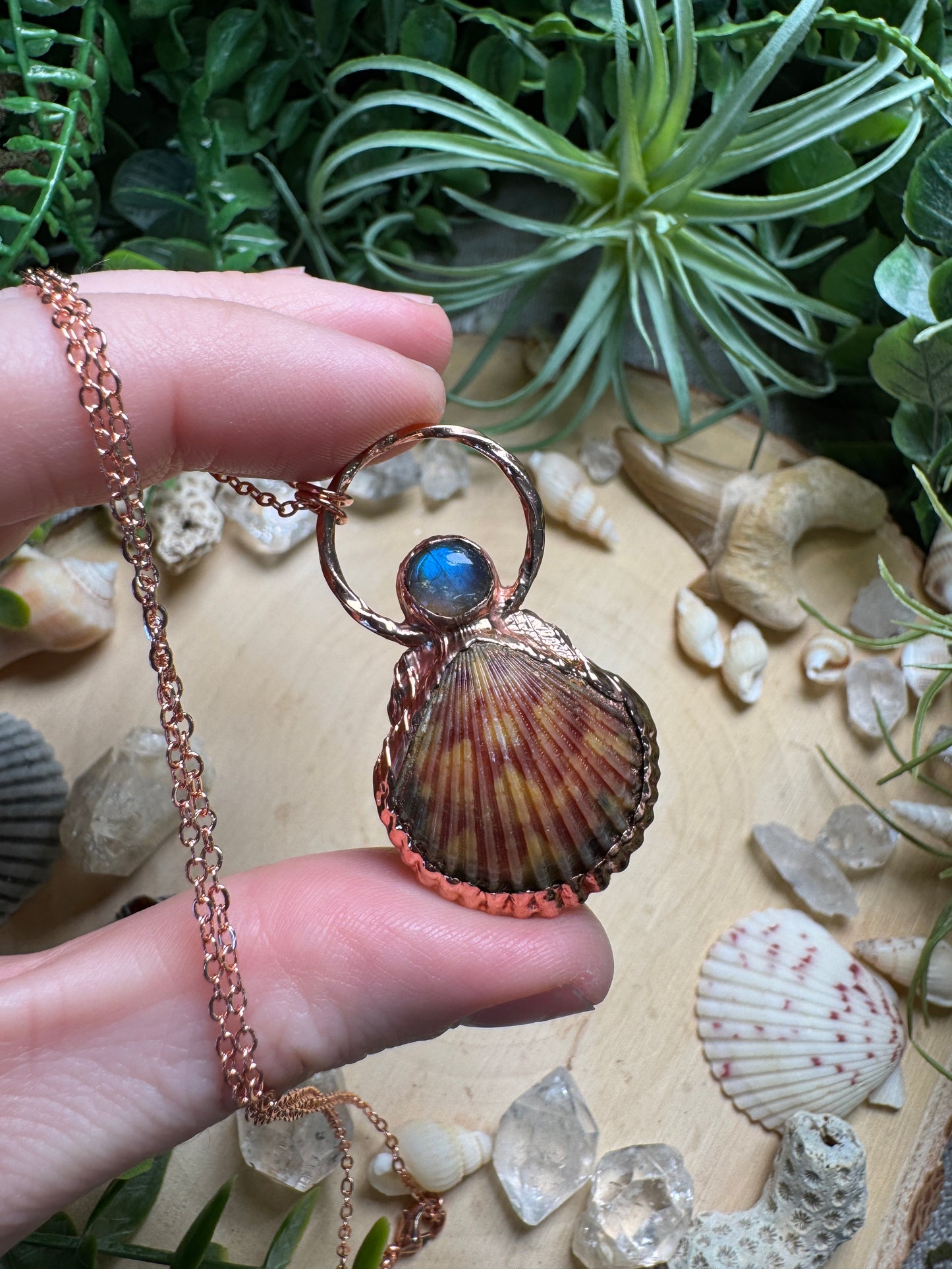 Labradorite and Scallop Shell Necklace