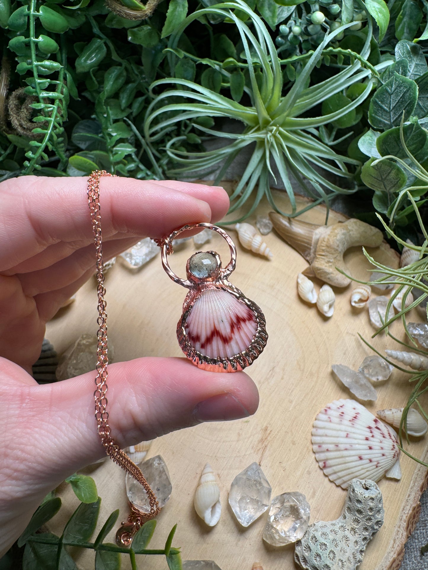 Quartz and Scallop Shell Necklace