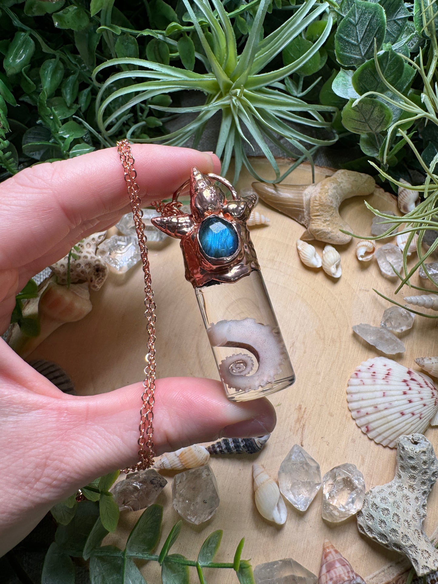 Labradorite, Shell, and Octopus Tentacle Oddity Vial Necklace