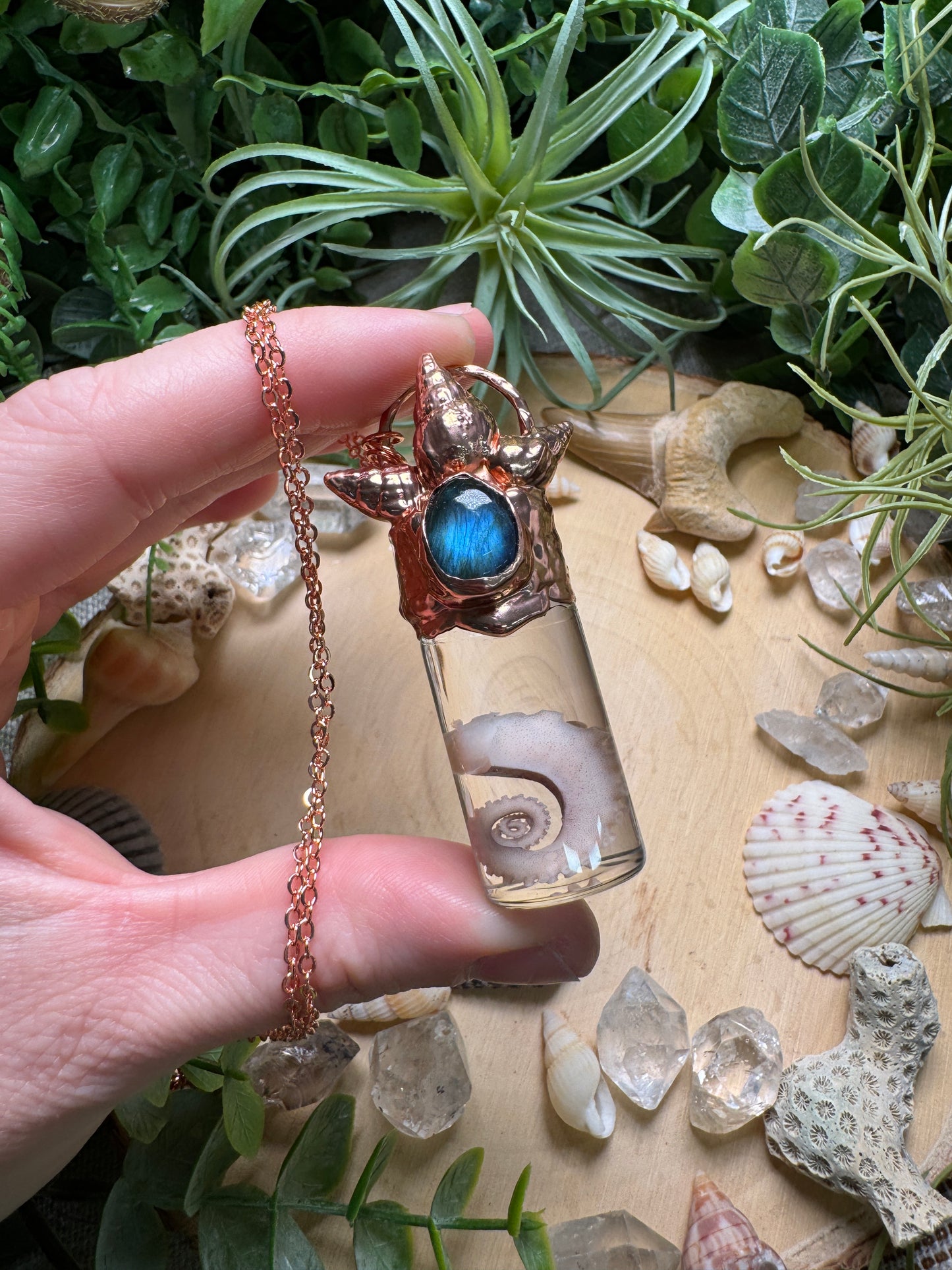 Labradorite, Shell, and Octopus Tentacle Oddity Vial Necklace