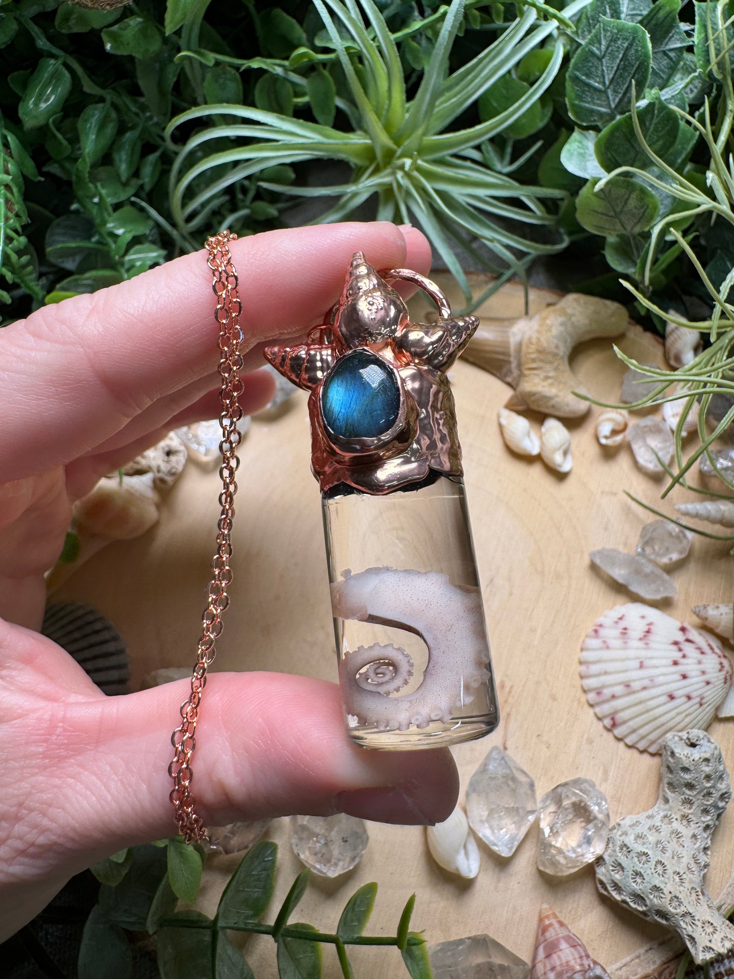 Labradorite, Shell, and Octopus Tentacle Oddity Vial Necklace