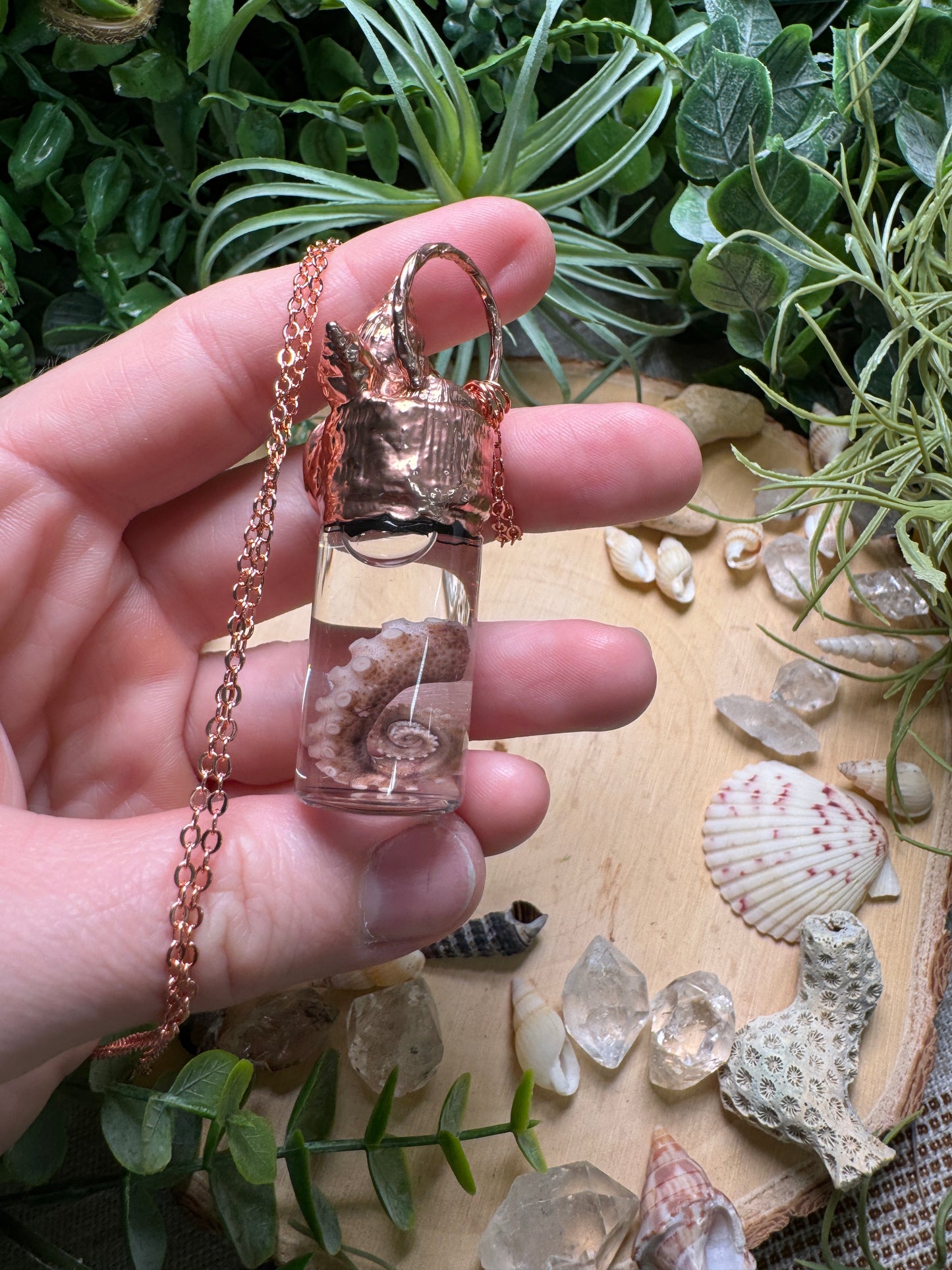 Labradorite, Shell, and Octopus Tentacle Oddity Vial Necklace