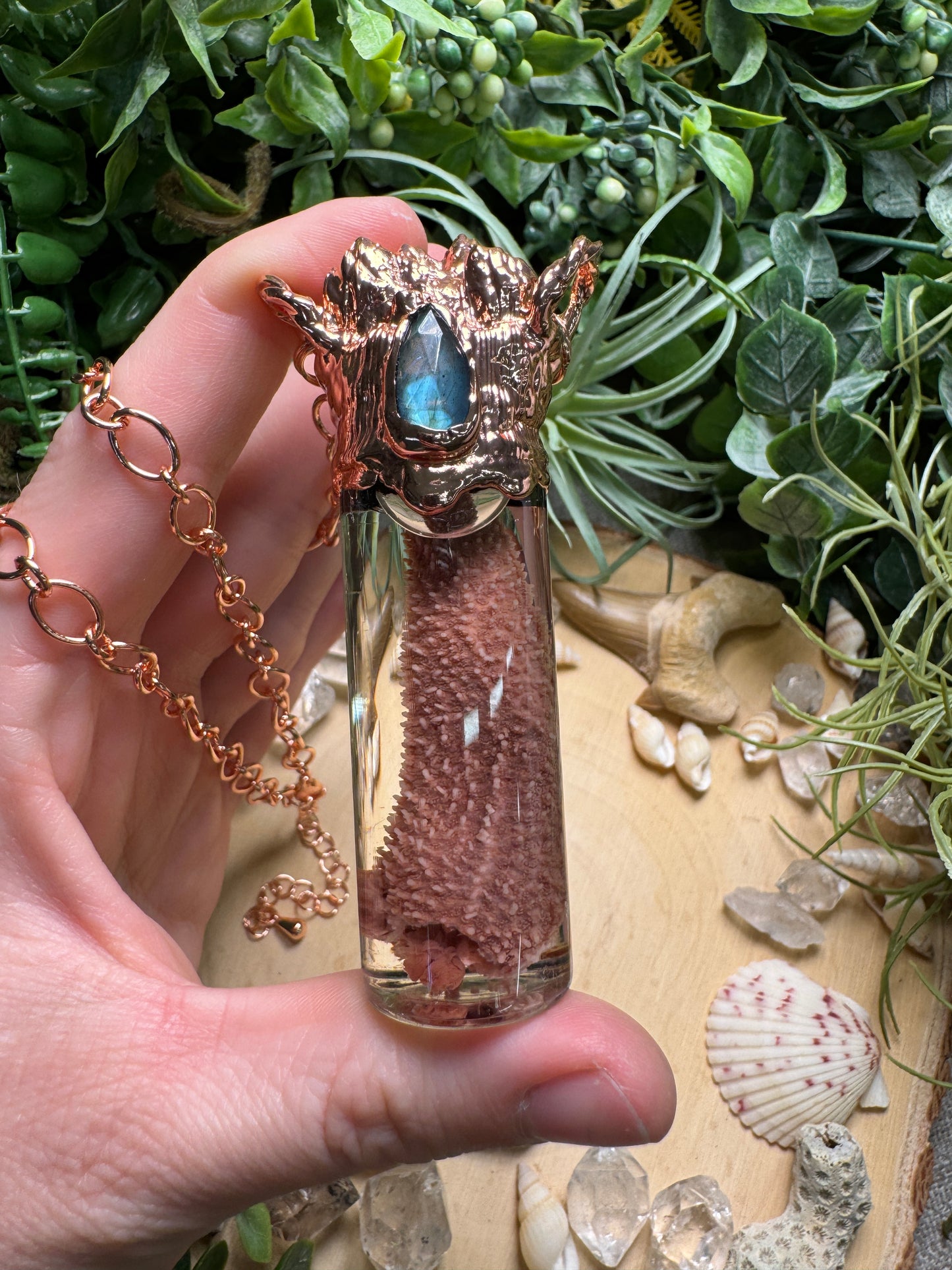 Labradorite, Barnacles, and Starfish Arm Oddity Vial Necklace