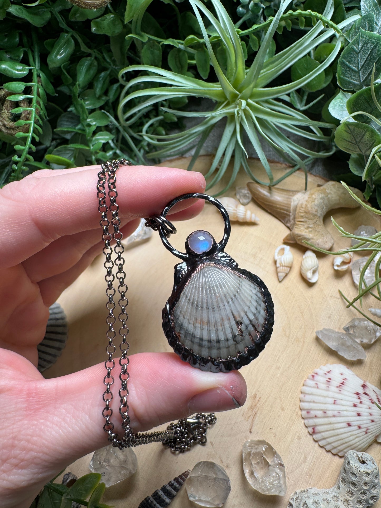Moonstone and Scallop Shell Necklace