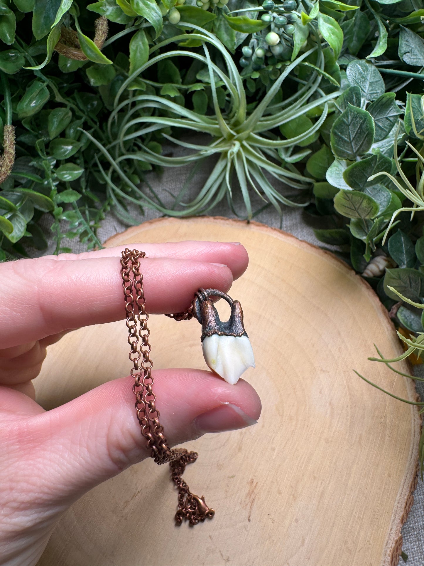Deer Tooth Necklace
