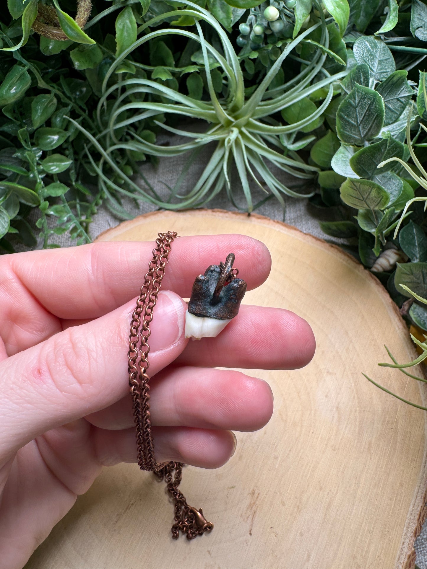 Deer Tooth Necklace