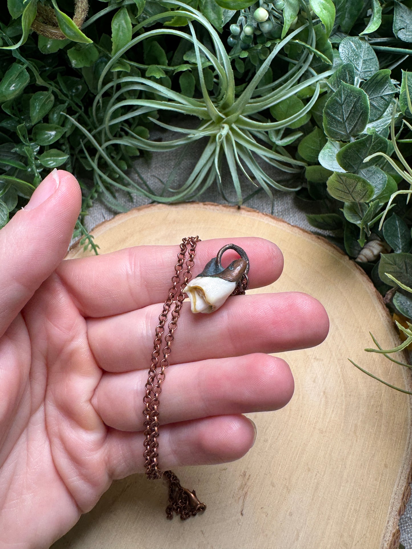 Deer Tooth Necklace