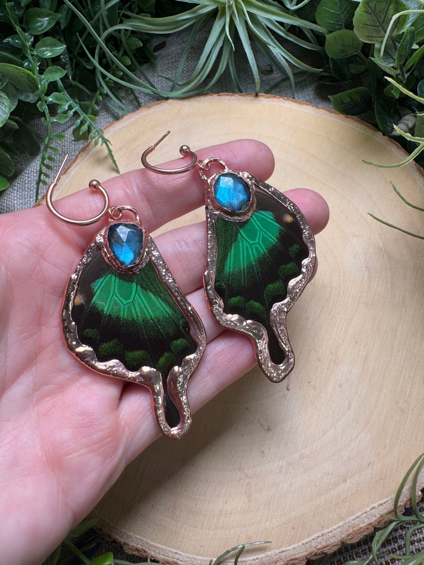 Labradorite and Butterfly Wing Earrings