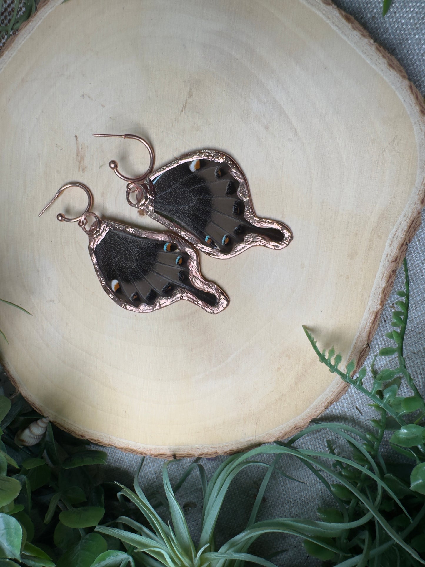 Labradorite and Butterfly Wing Earrings