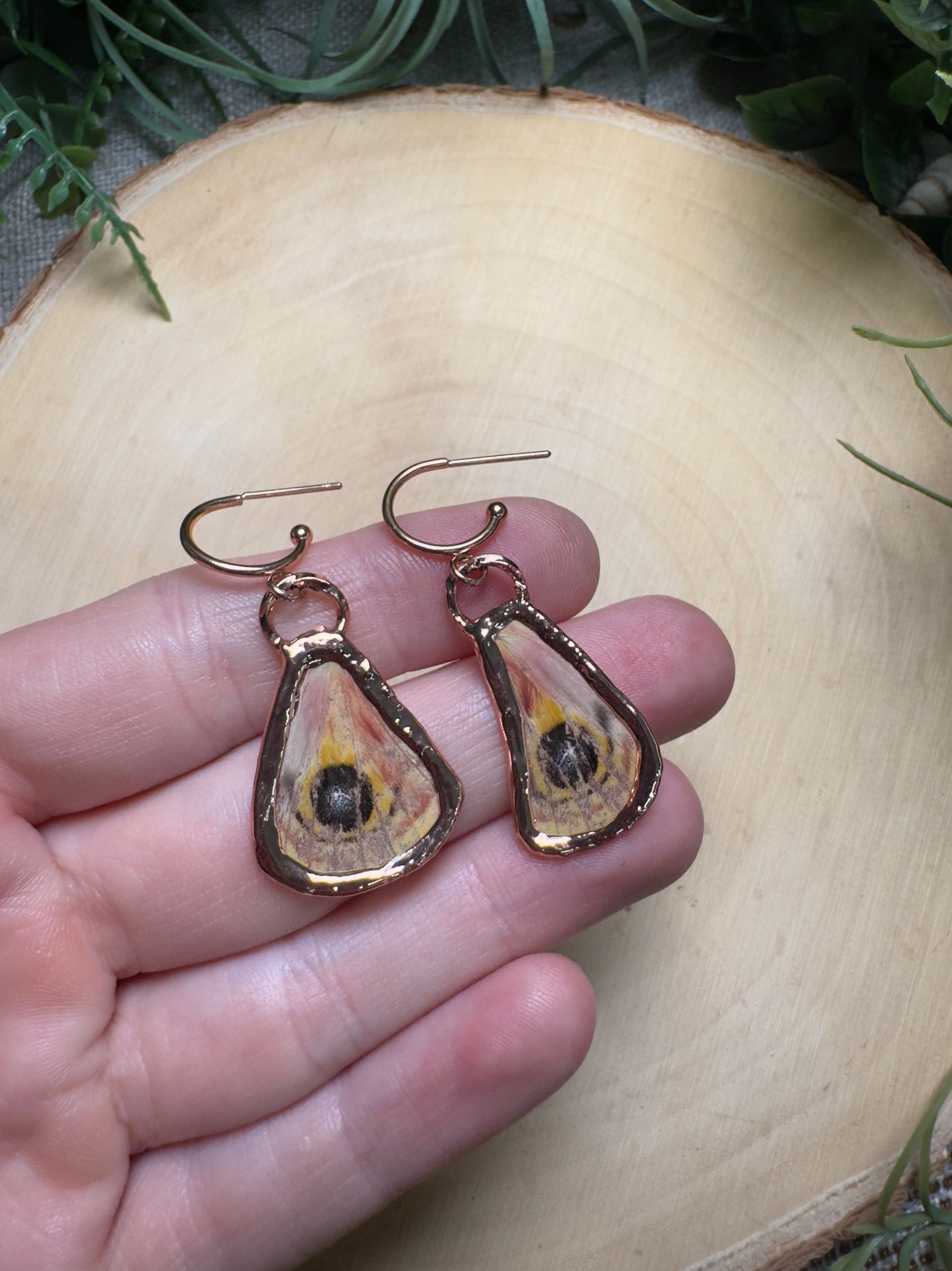 Moth Wing Earrings
