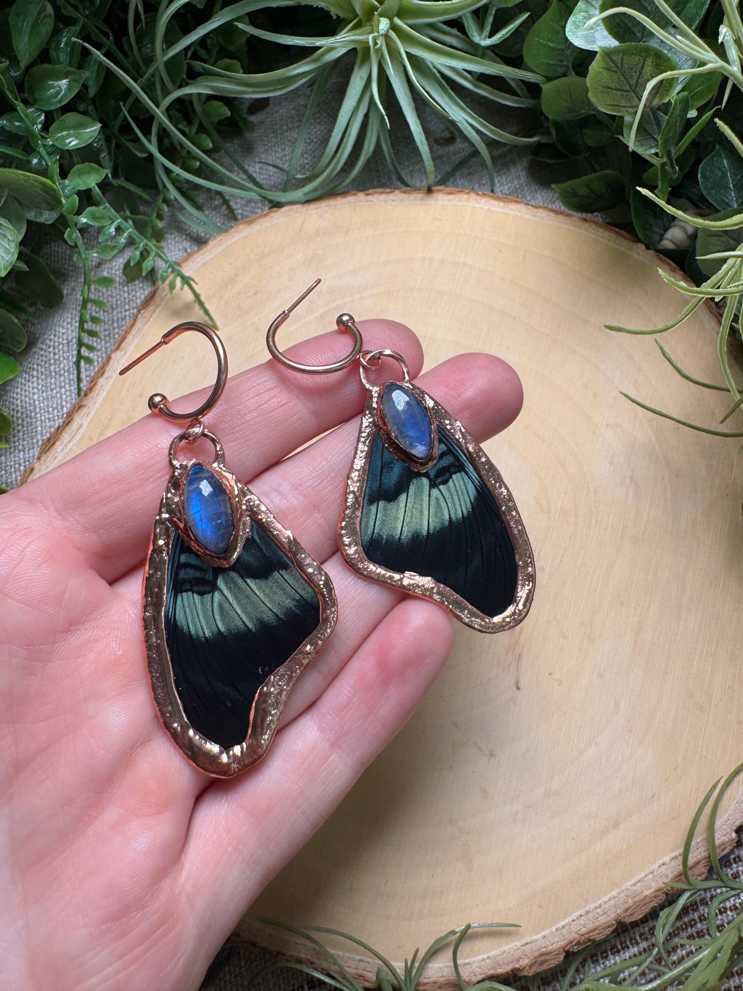 Moonstone and Butterfly Wing Earrings