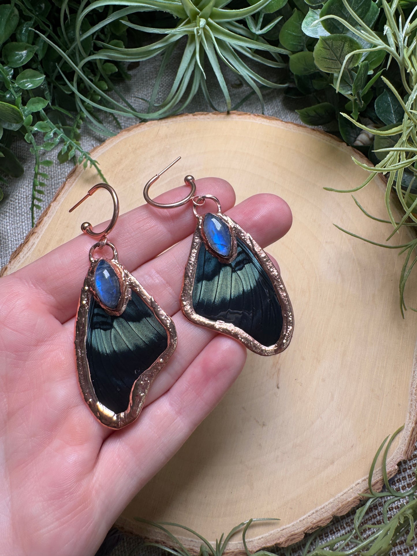 Moonstone and Butterfly Wing Earrings
