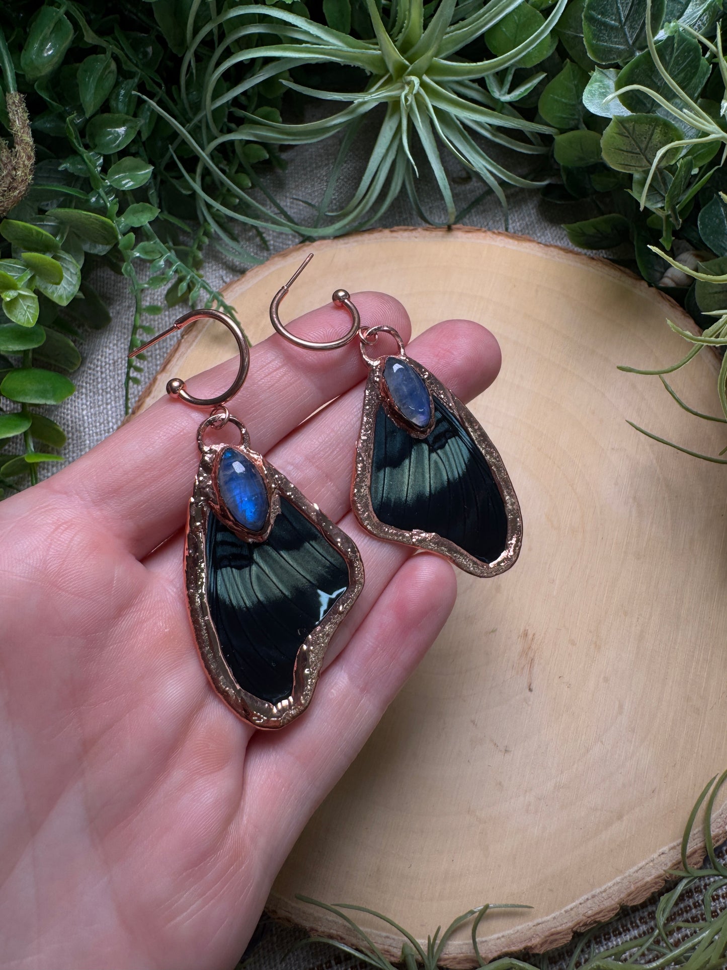 Moonstone and Butterfly Wing Earrings
