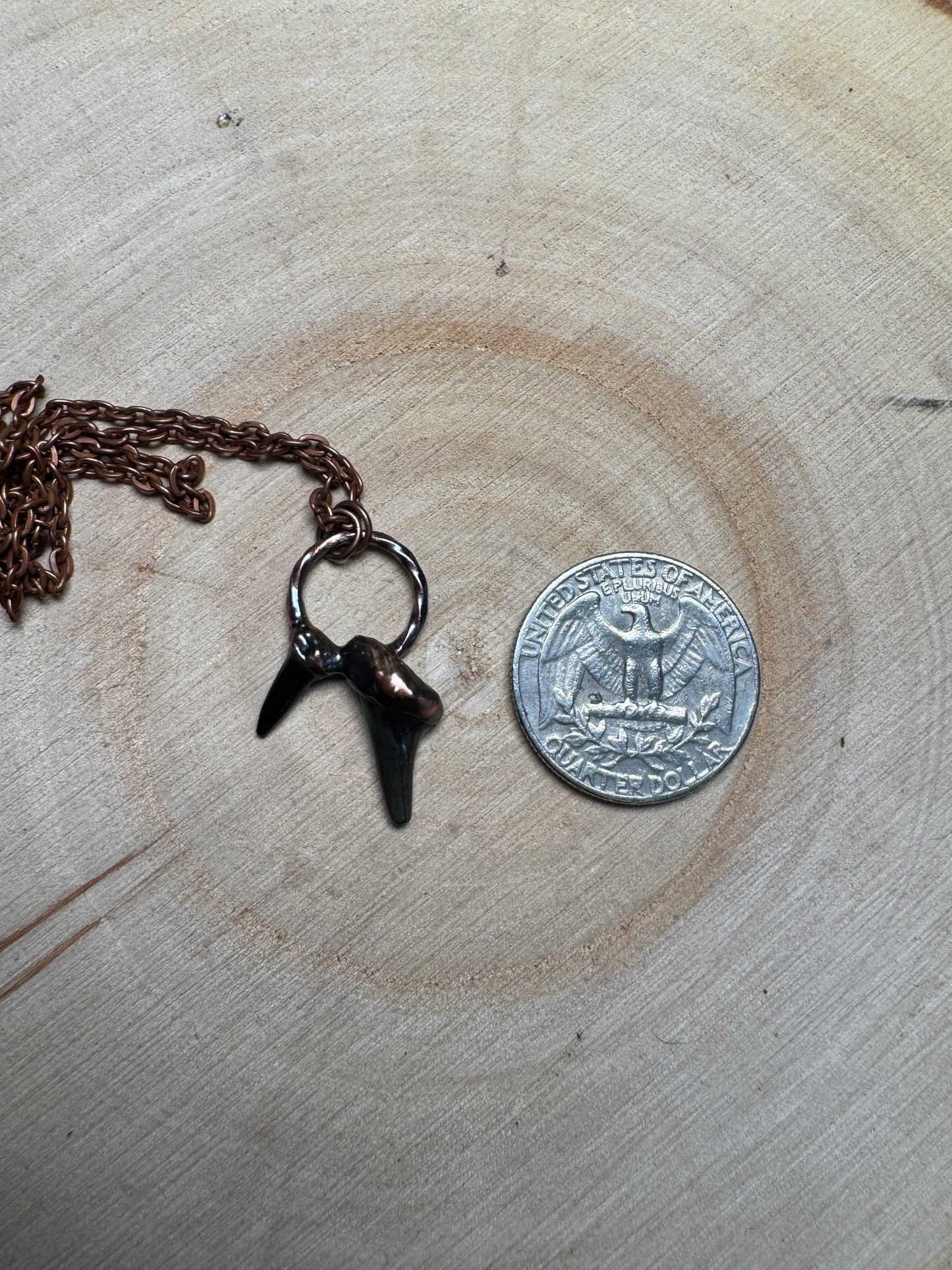 Nightbloom- Shark teeth Necklace