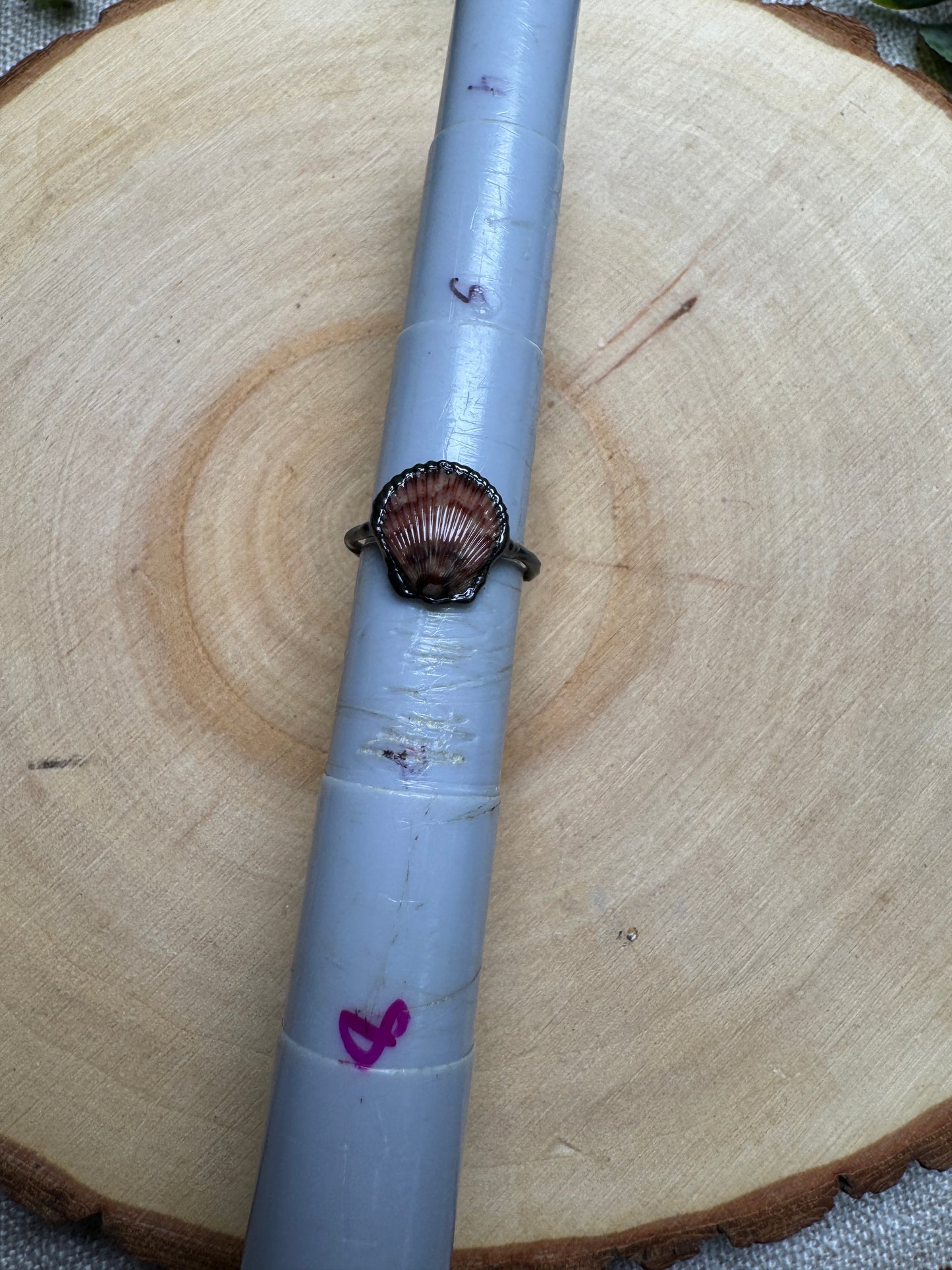 Scallop Shell Ring Size 6