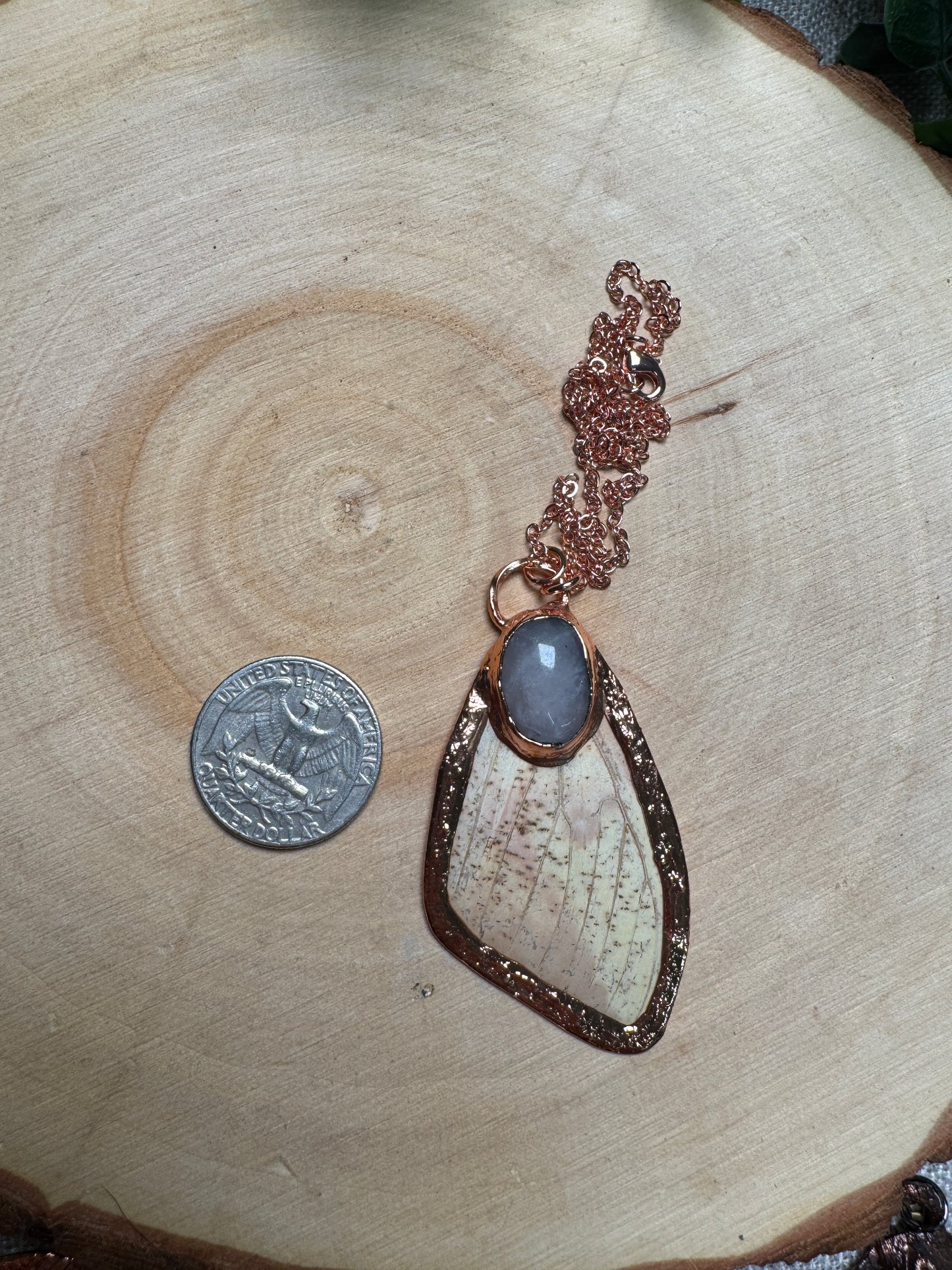 Imperial Moth Wing and Rose Quartz Necklace