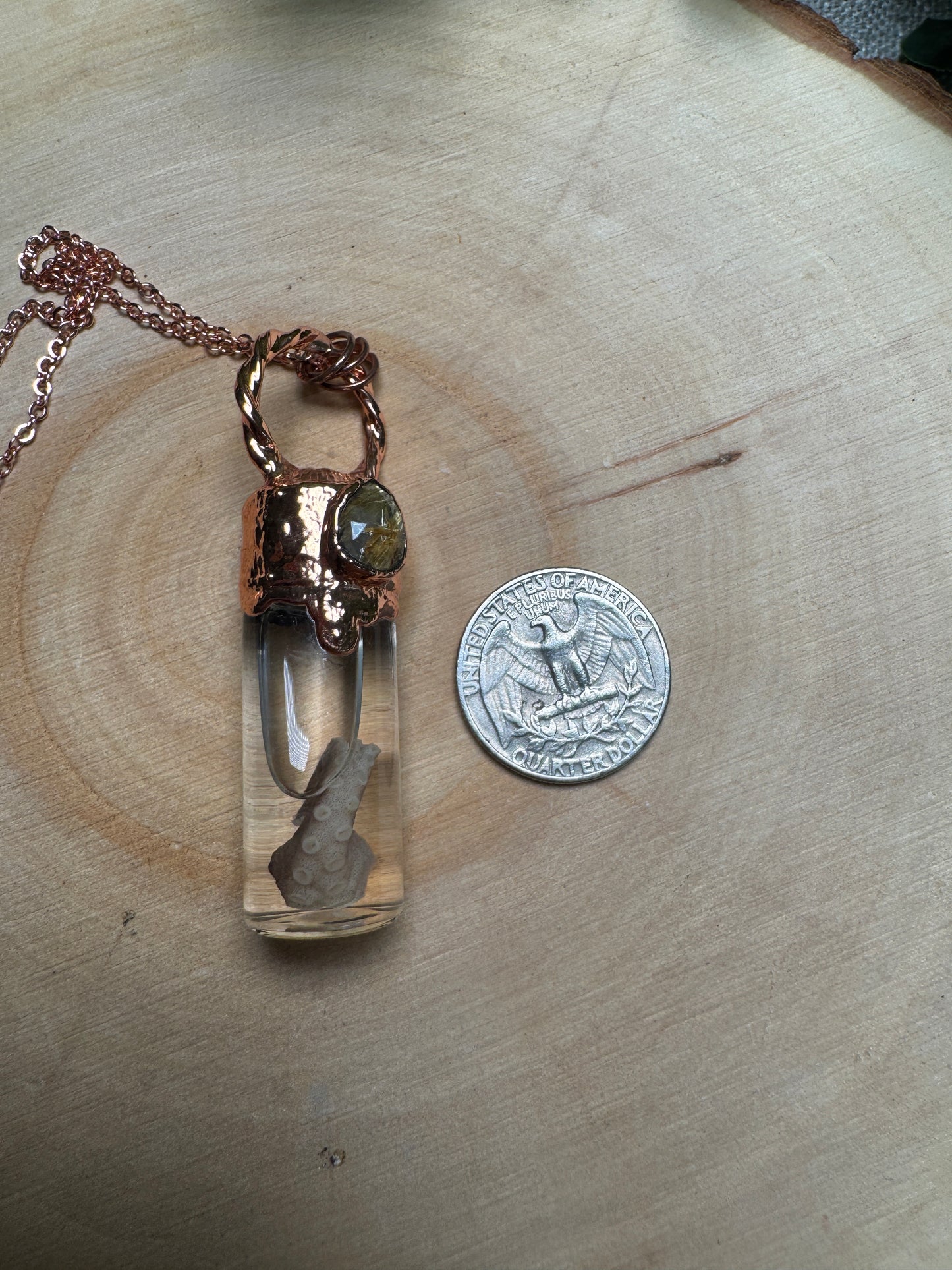 Octopus Tentacle Wet Specimen and Gold Rutile Quartz Necklace