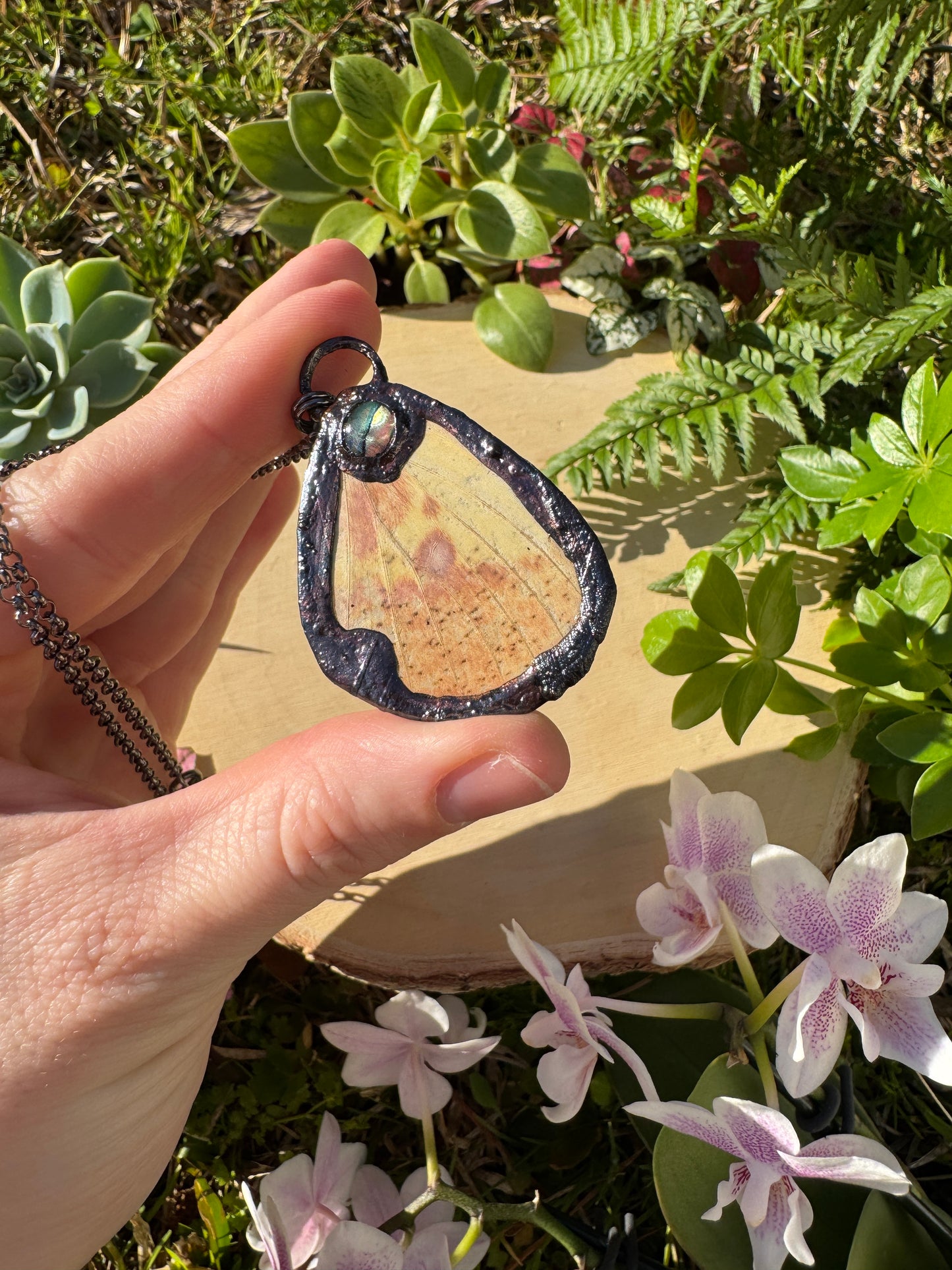 Abalone Shell and Imperial Moth Wing Necklace