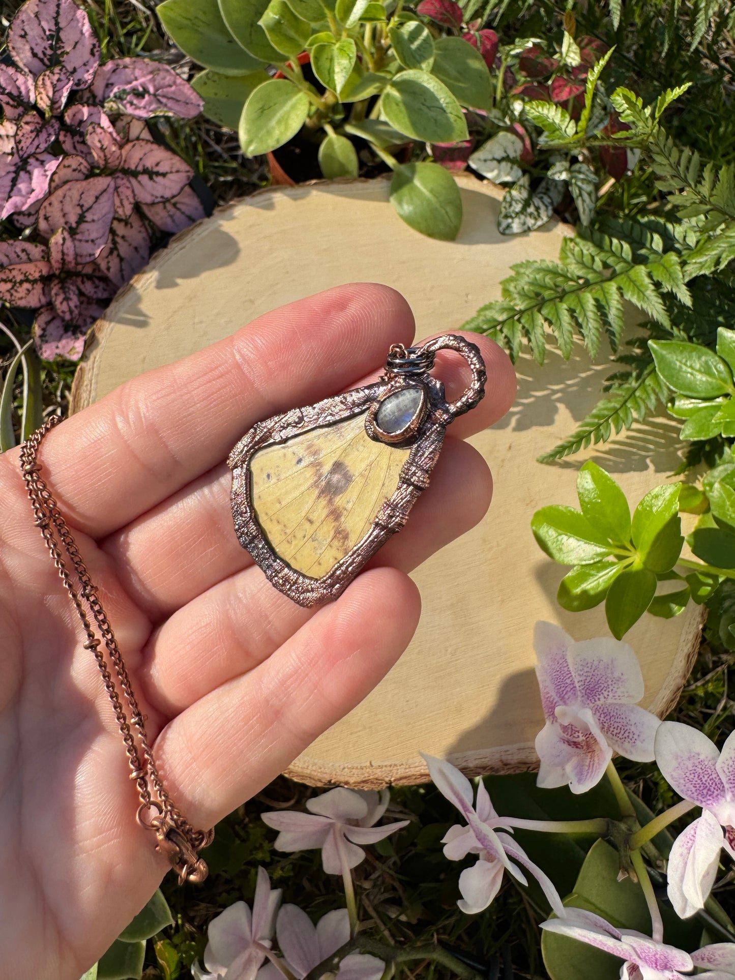 Moonstone and Imperial Moth Wing Necklace