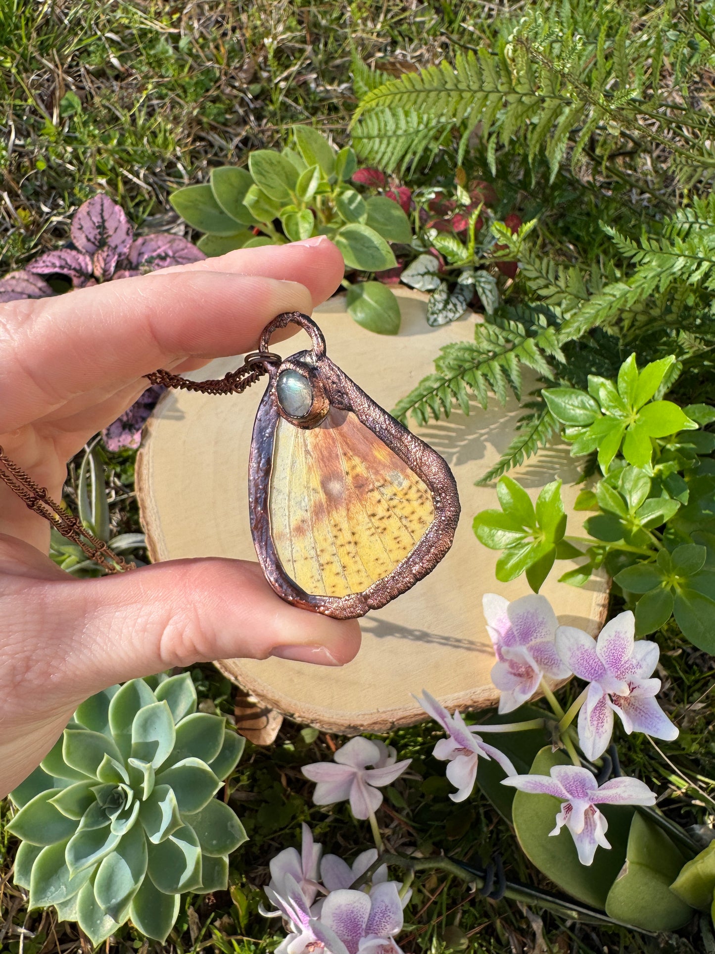 Moonstone and Imperial Moth Wing Necklace