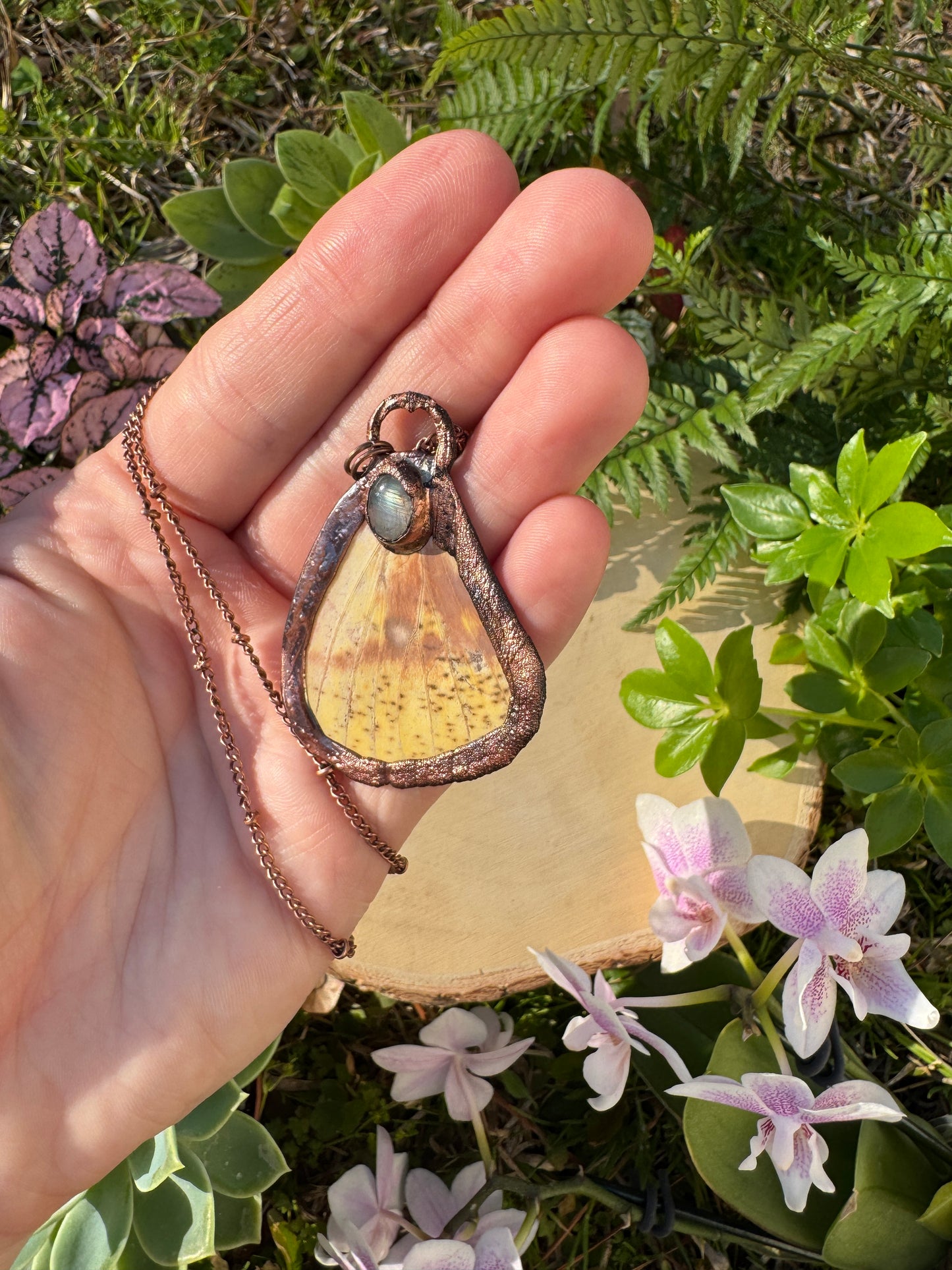 Moonstone and Imperial Moth Wing Necklace