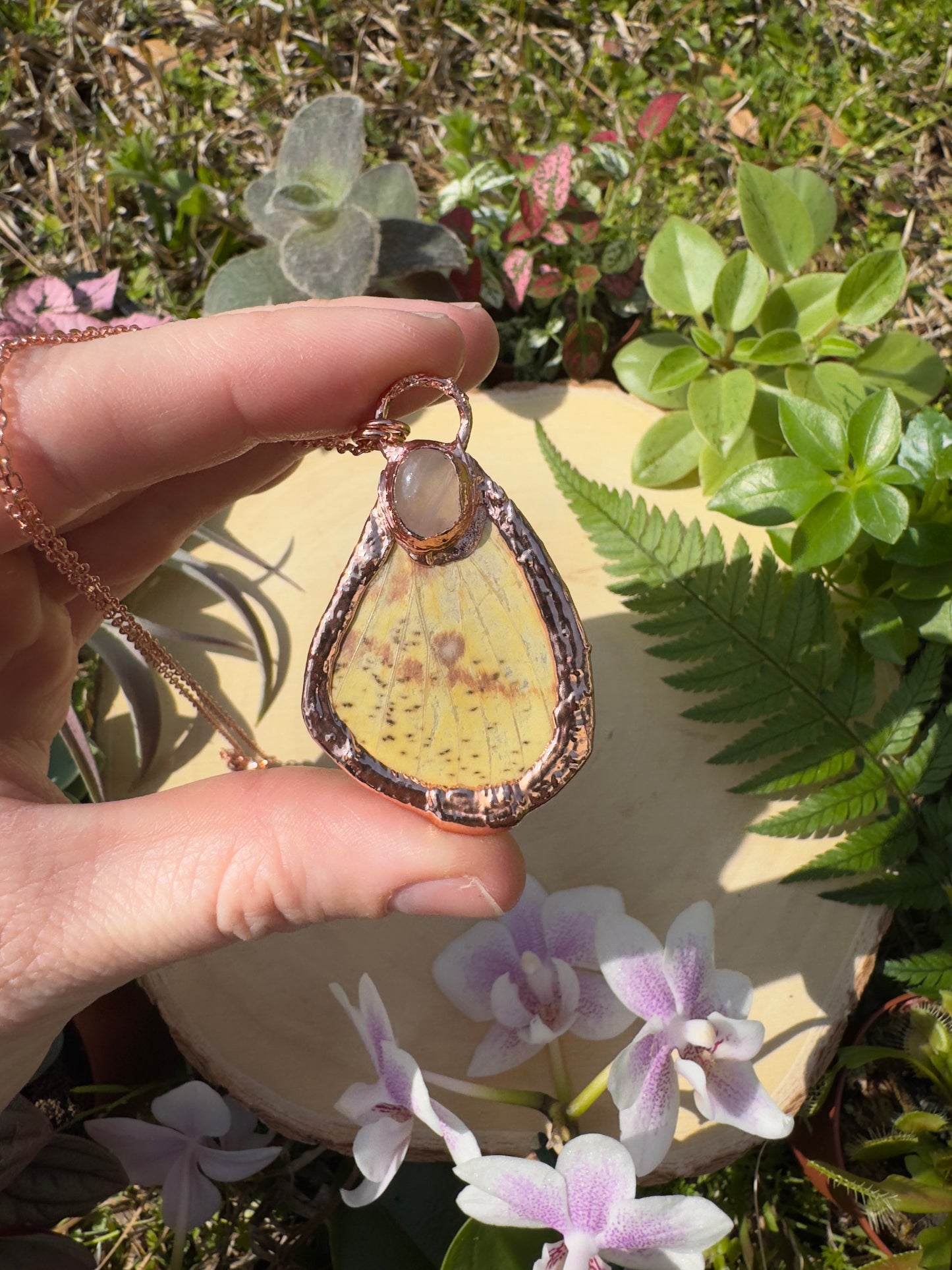 Rose Quartz and Imperial Moth Wing Necklace