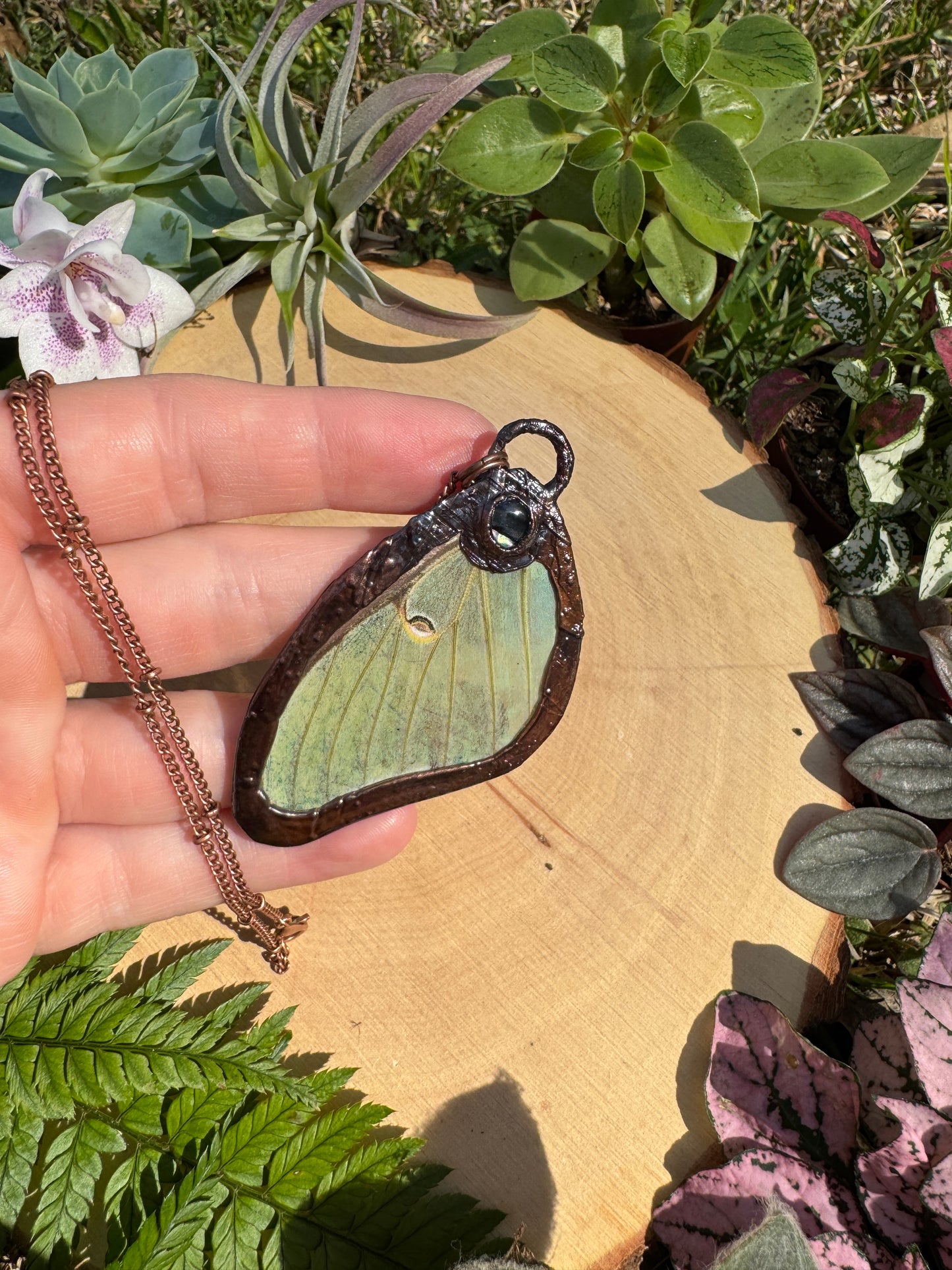 Abalone Shell Luna Moth Wing Necklace