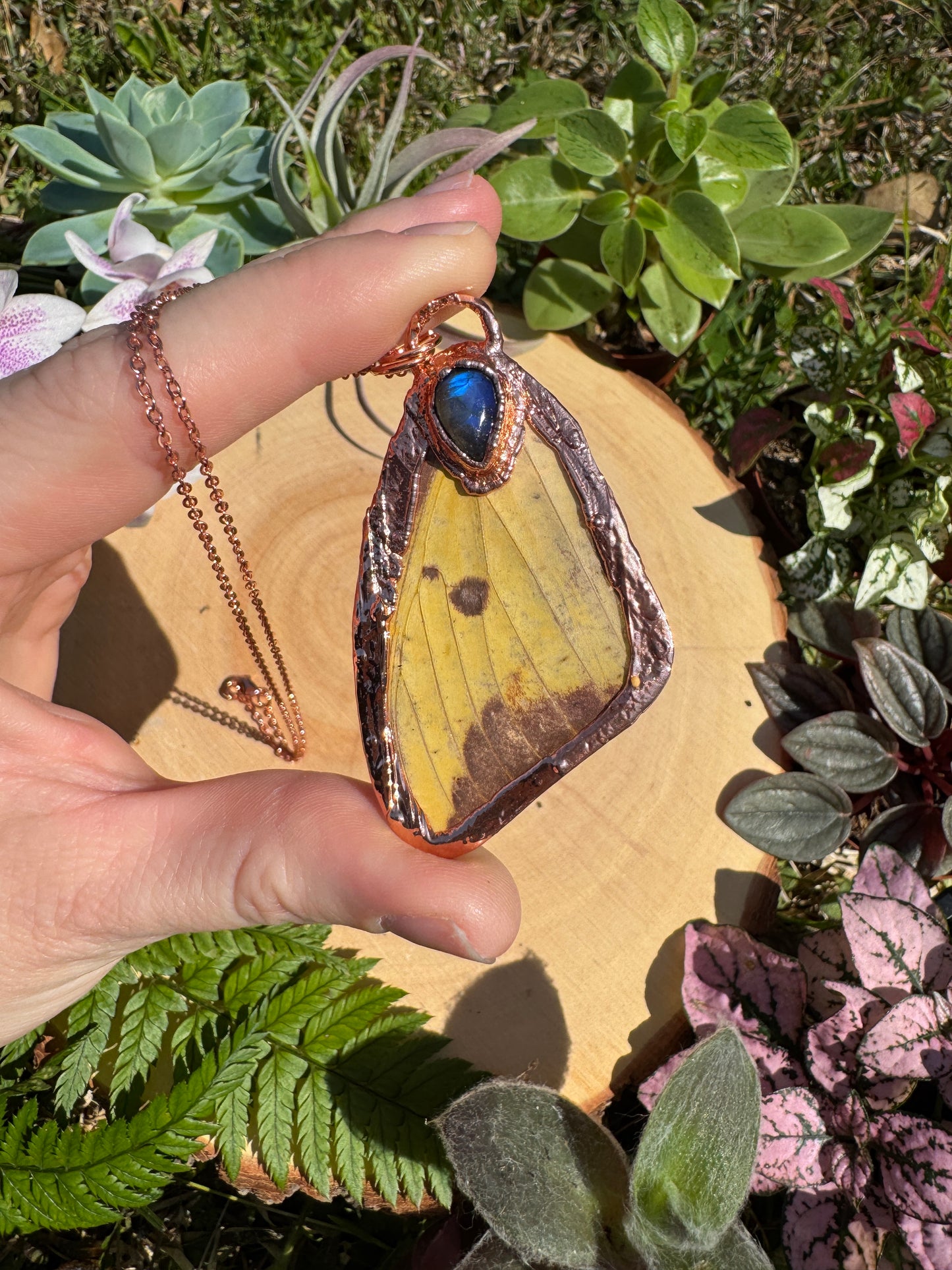 Labradorite and Imperial Moth Wing Necklace