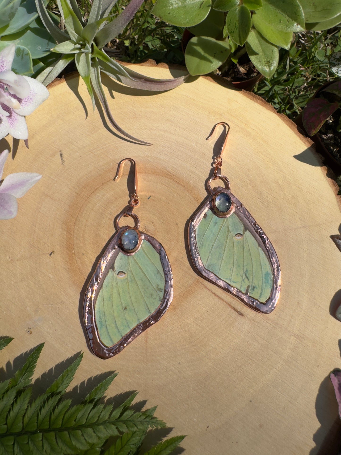 Moonstone and Luna Moth Wing Earrings