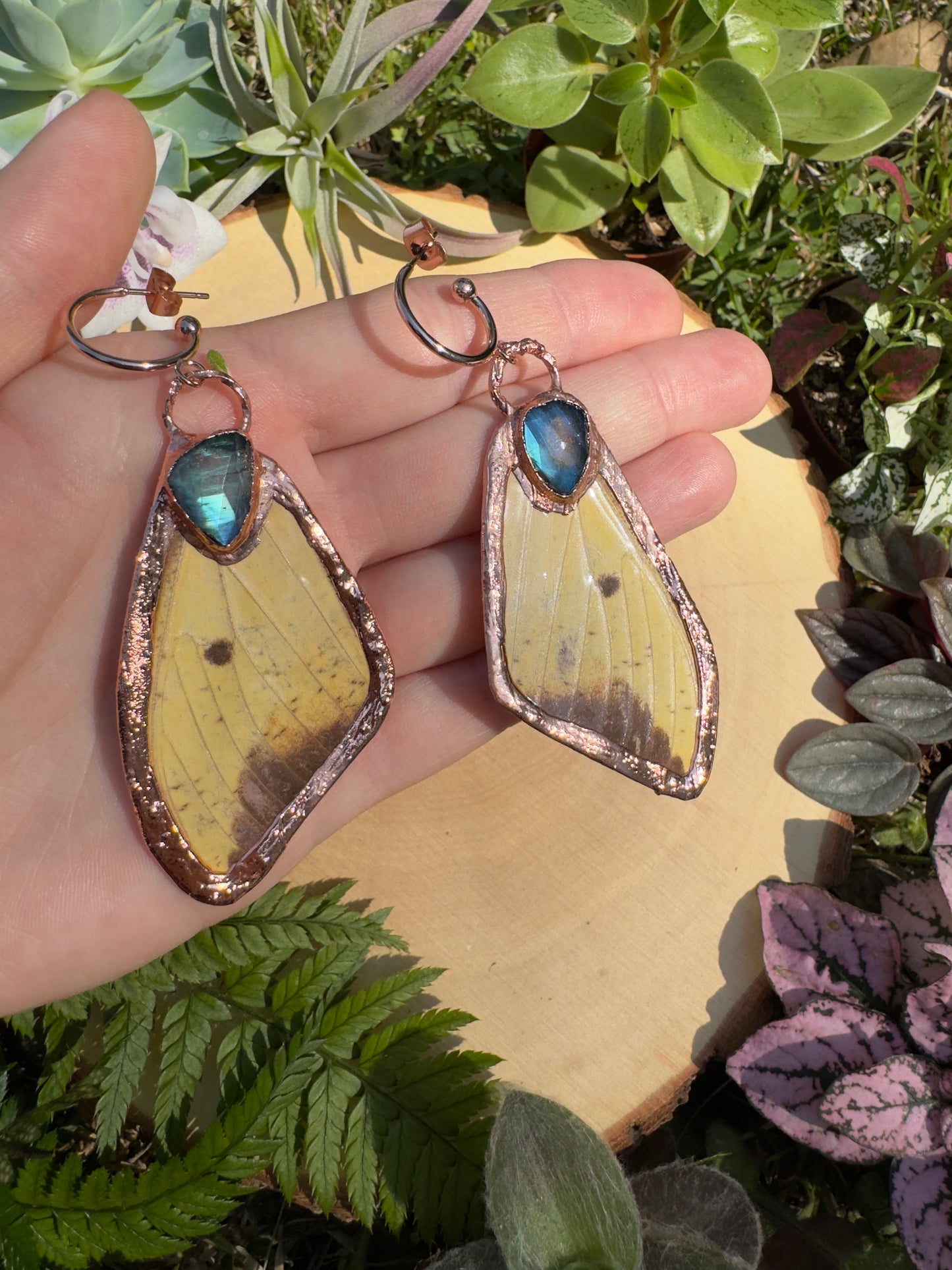 Labradorite and Imperial Moth Wing Earrings