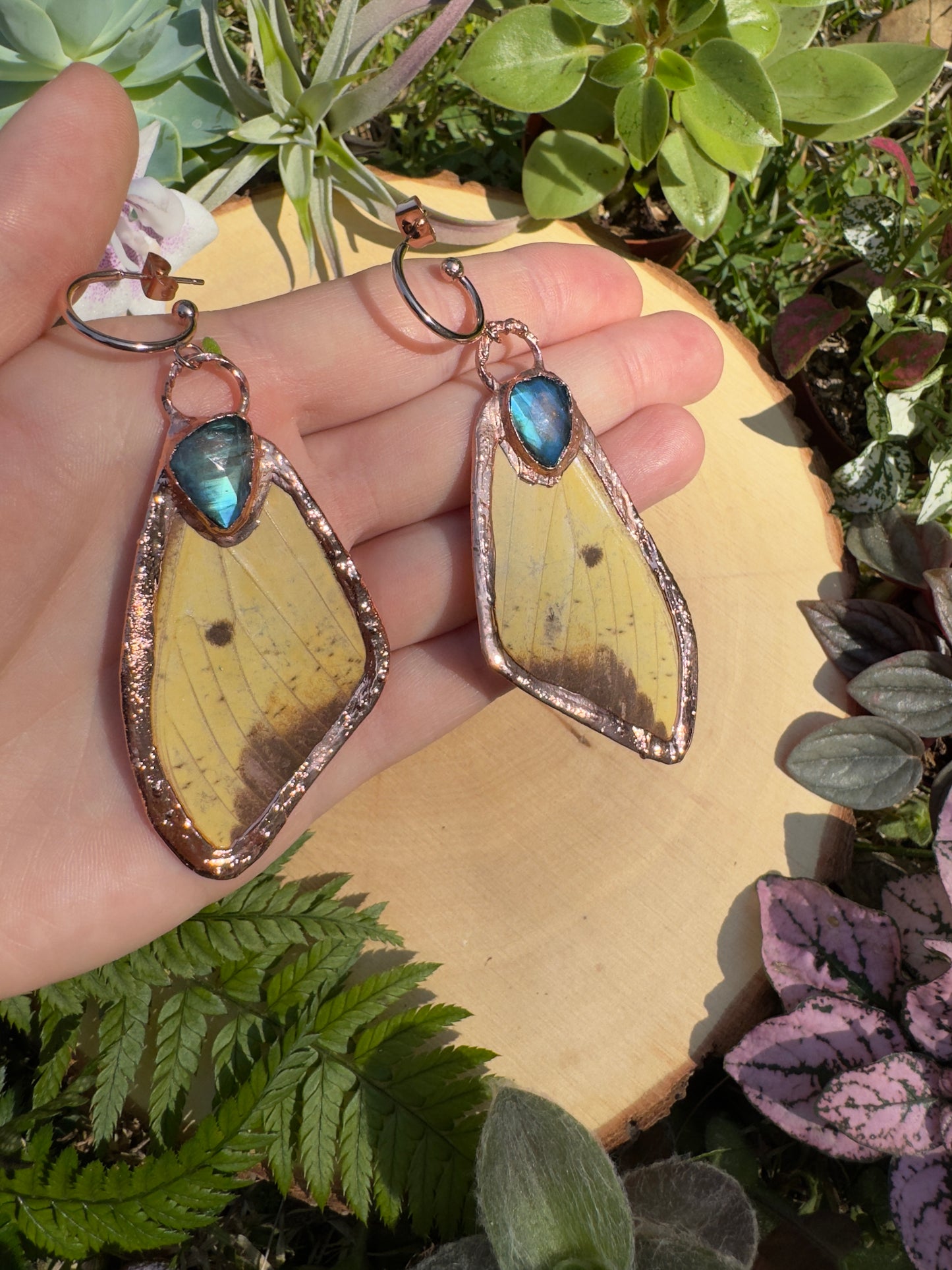 Labradorite and Imperial Moth Wing Earrings