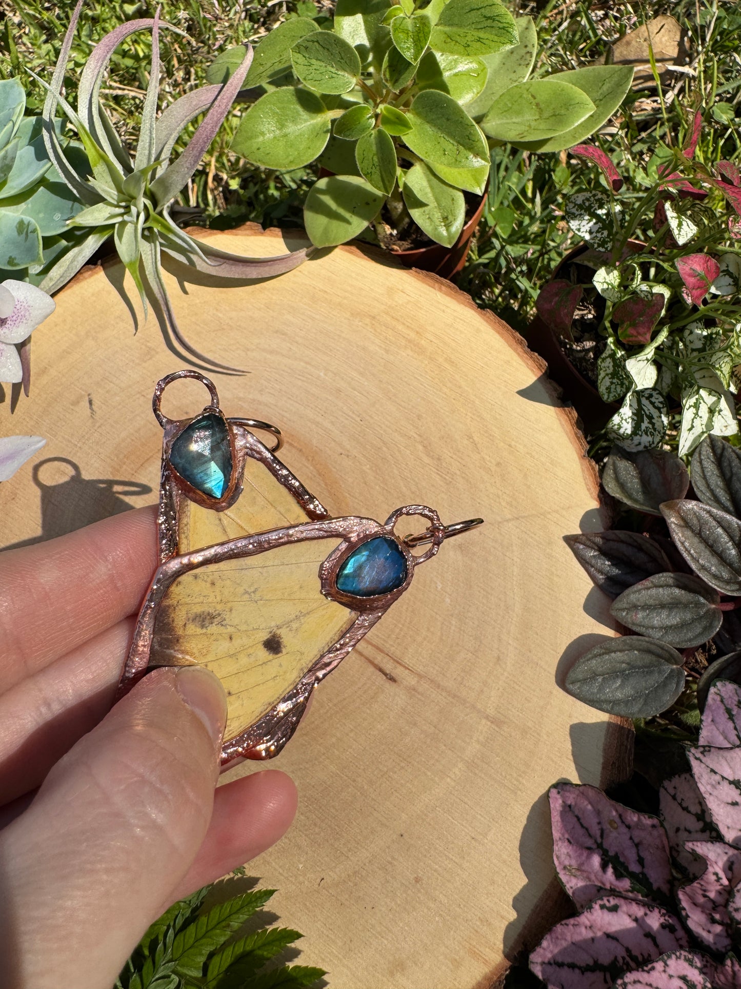 Labradorite and Imperial Moth Wing Earrings