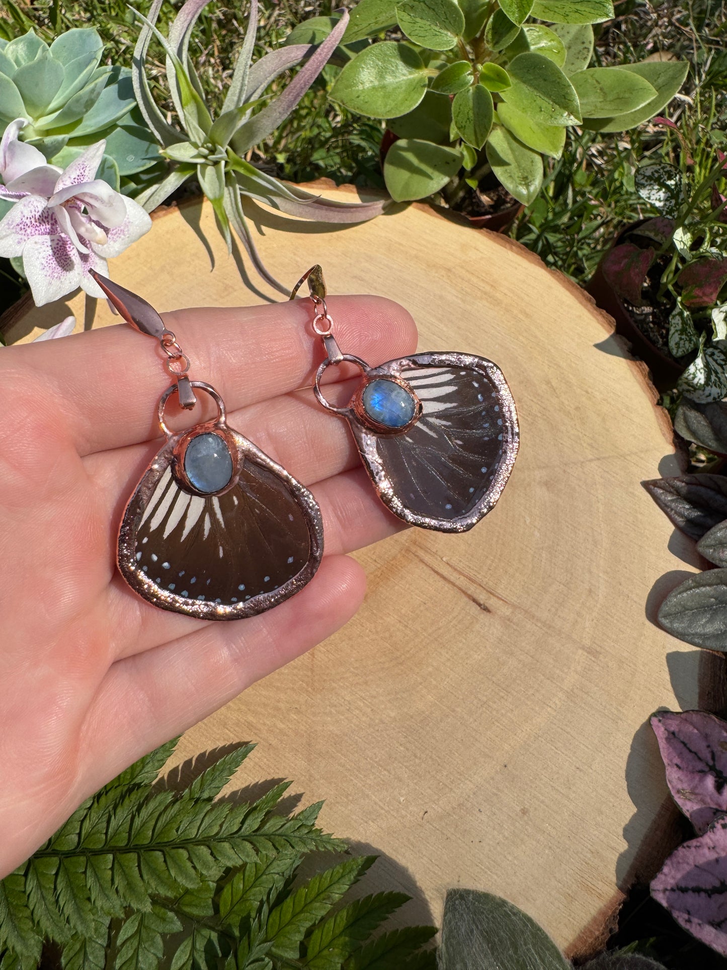 Moonstone and Butterfly Wing Earrings