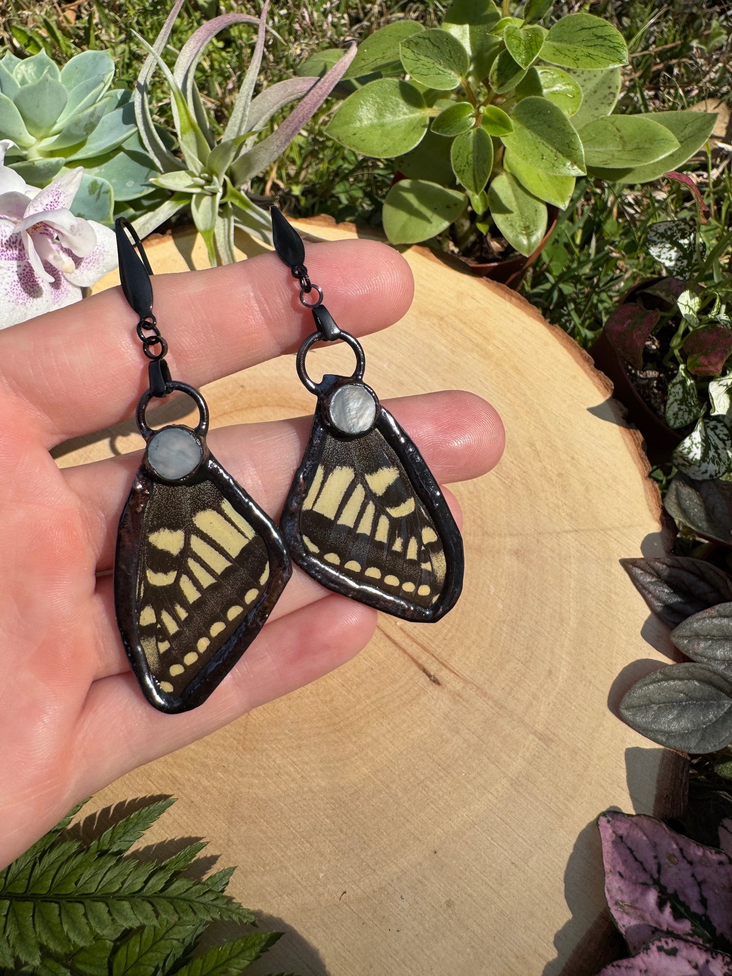 Shell and Butterfly Wing Earrings