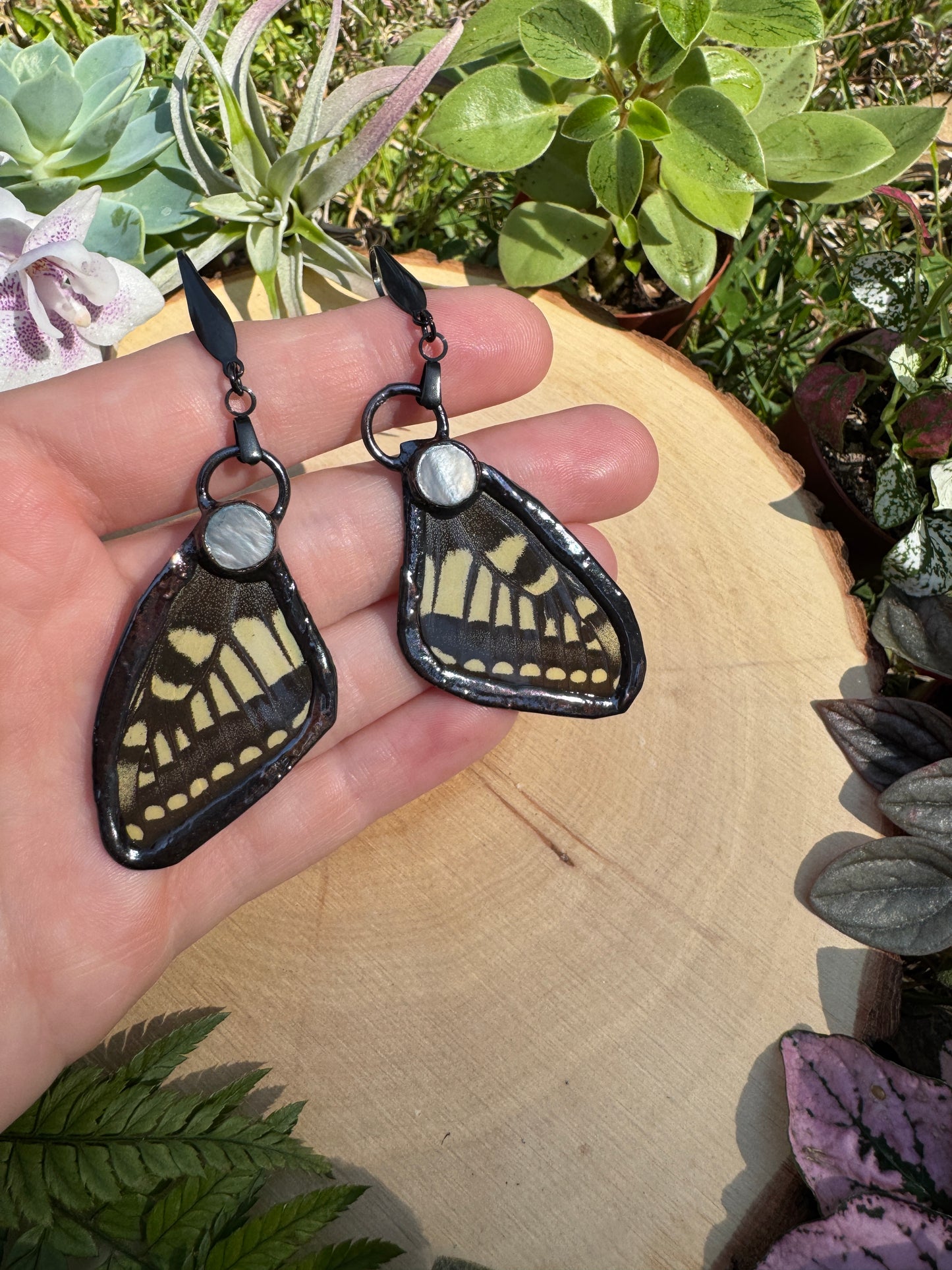 Shell and Butterfly Wing Earrings
