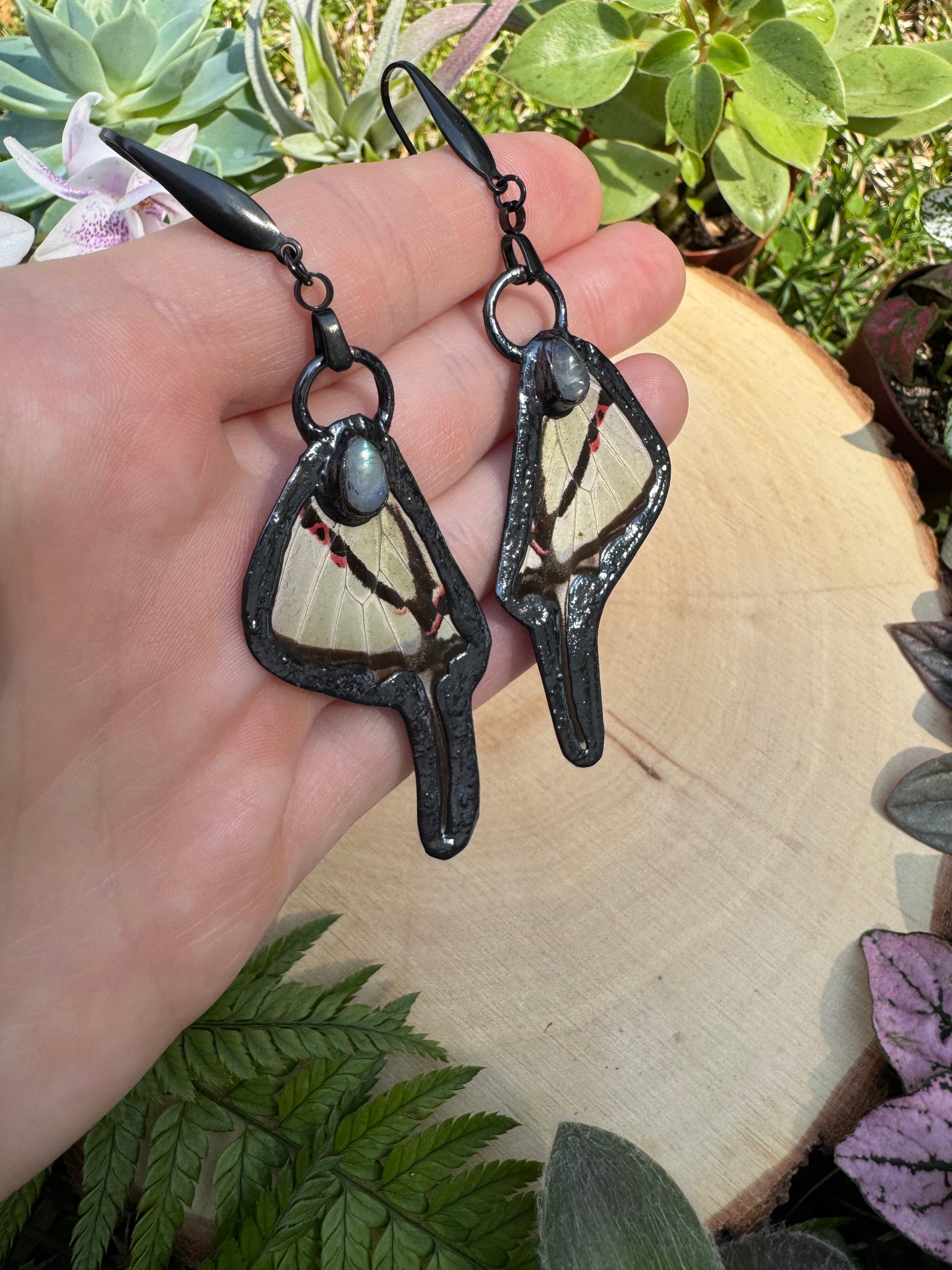 Moonstone and Butterfly Wing Earrings