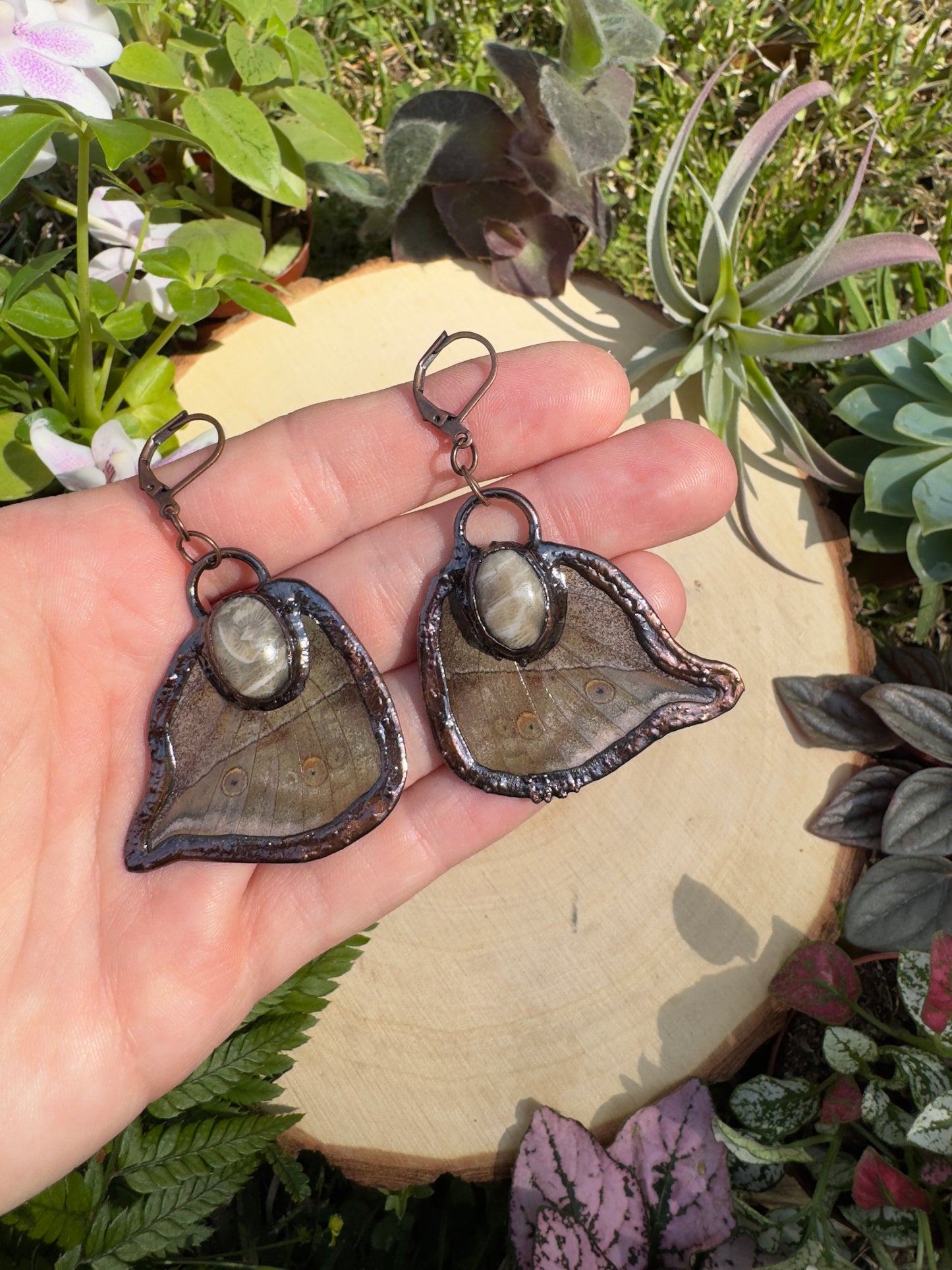 Fossilized Coral Butterfly Wing Earrings
