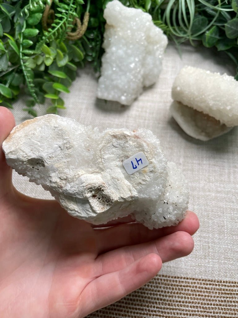 Apophyllite Cluster | Copper Ashes