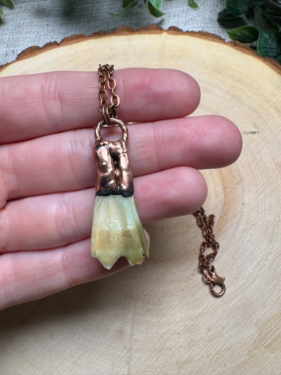 Briar - Goat Tooth Necklace | Copper Ashes