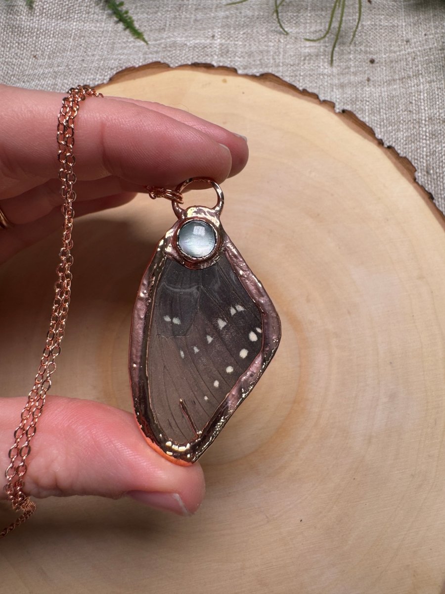 Butterfly Wing and Shell Necklace | Copper Ashes