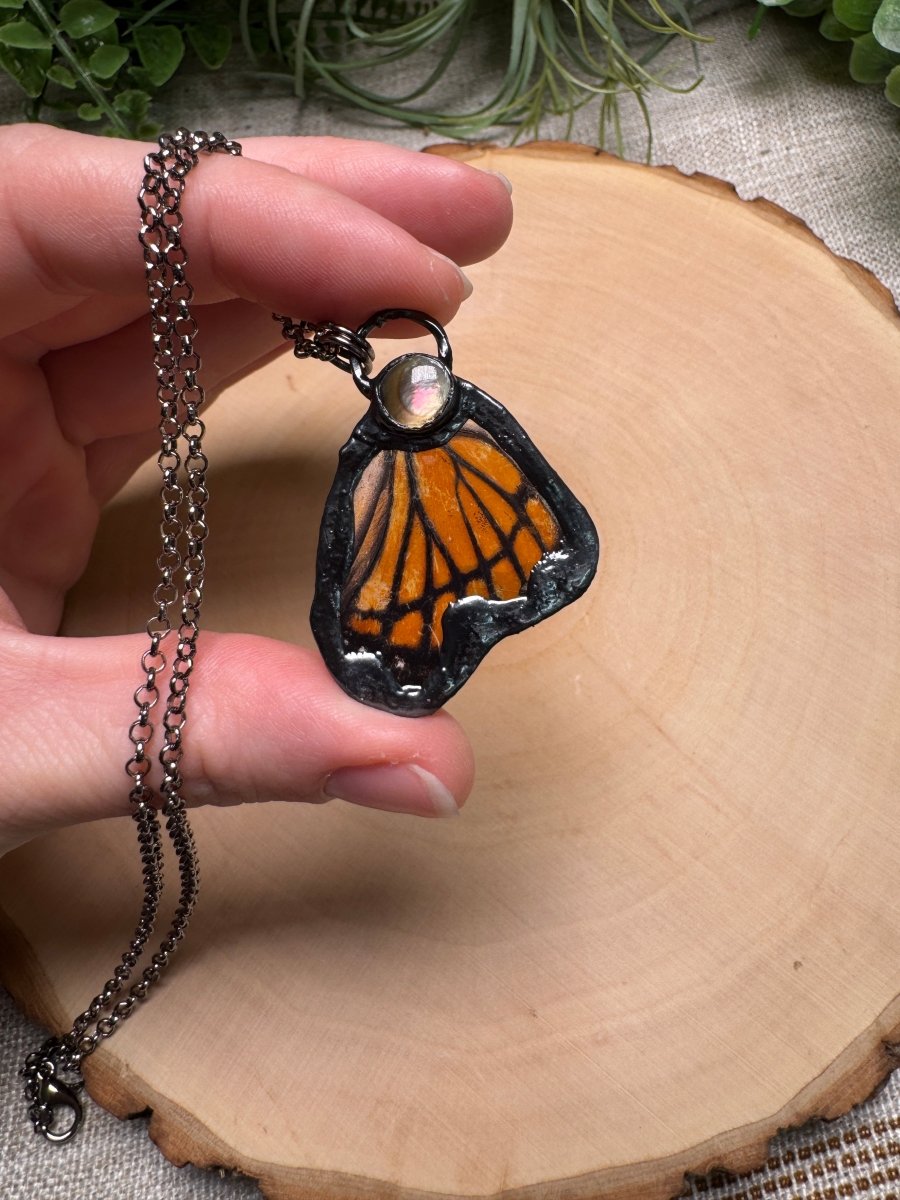 Butterfly Wing and Shell Necklace | Copper Ashes