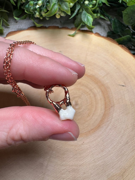 Canine Tooth Necklace | Copper Ashes