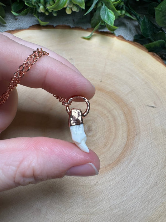 Canine Tooth Necklace | Copper Ashes