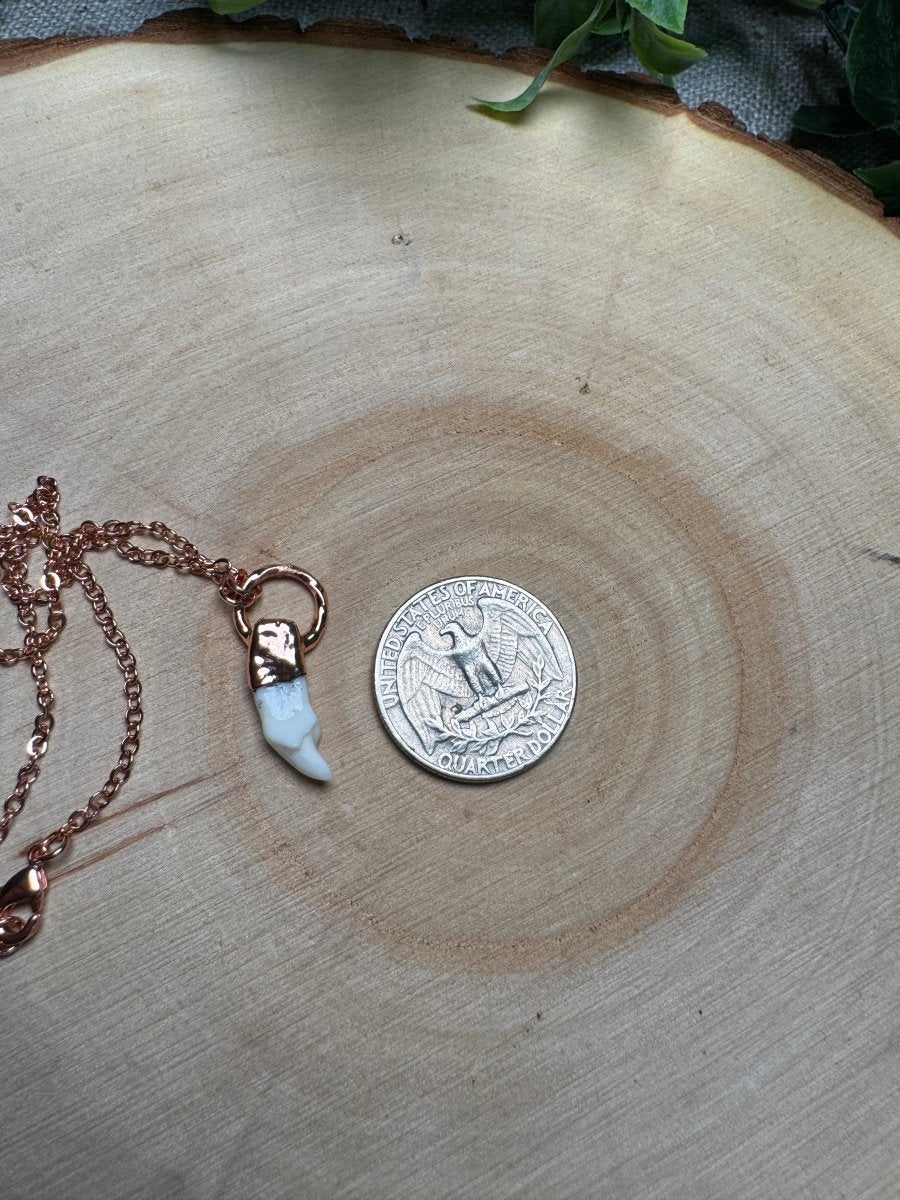Canine Tooth Necklace | Copper Ashes