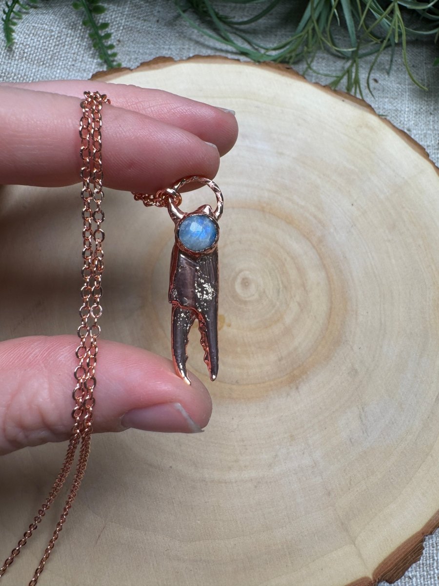 Crab Claw and Moonstone Necklace | Copper Ashes