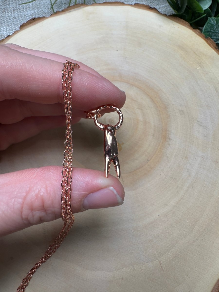 Crab Claw and Necklace | Copper Ashes