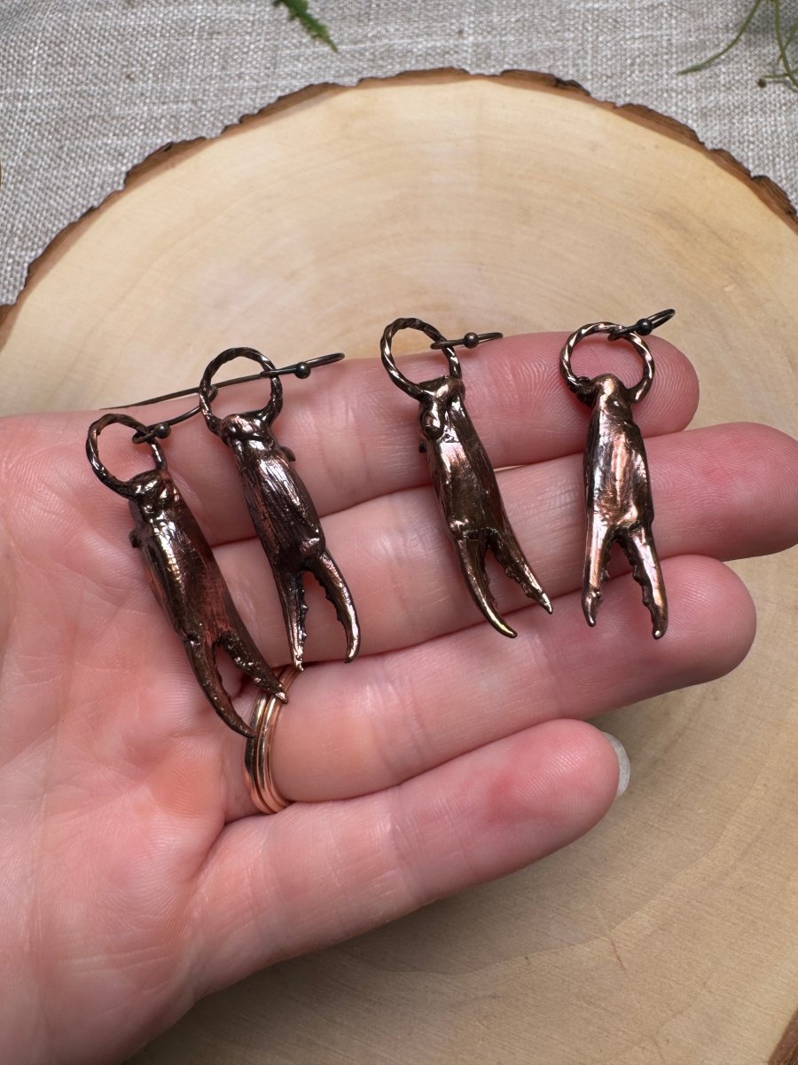 Crab Claw Earrings | Copper Ashes