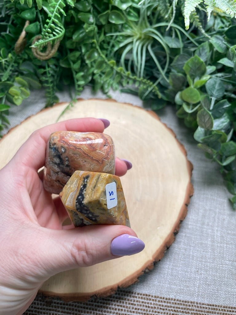 Crazy Lace Agate Freeform | Copper Ashes