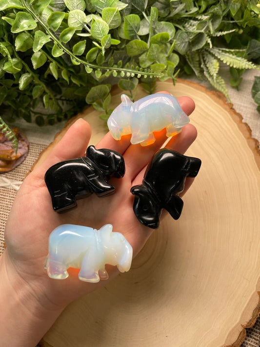 Crystal Capybara | Copper Ashes